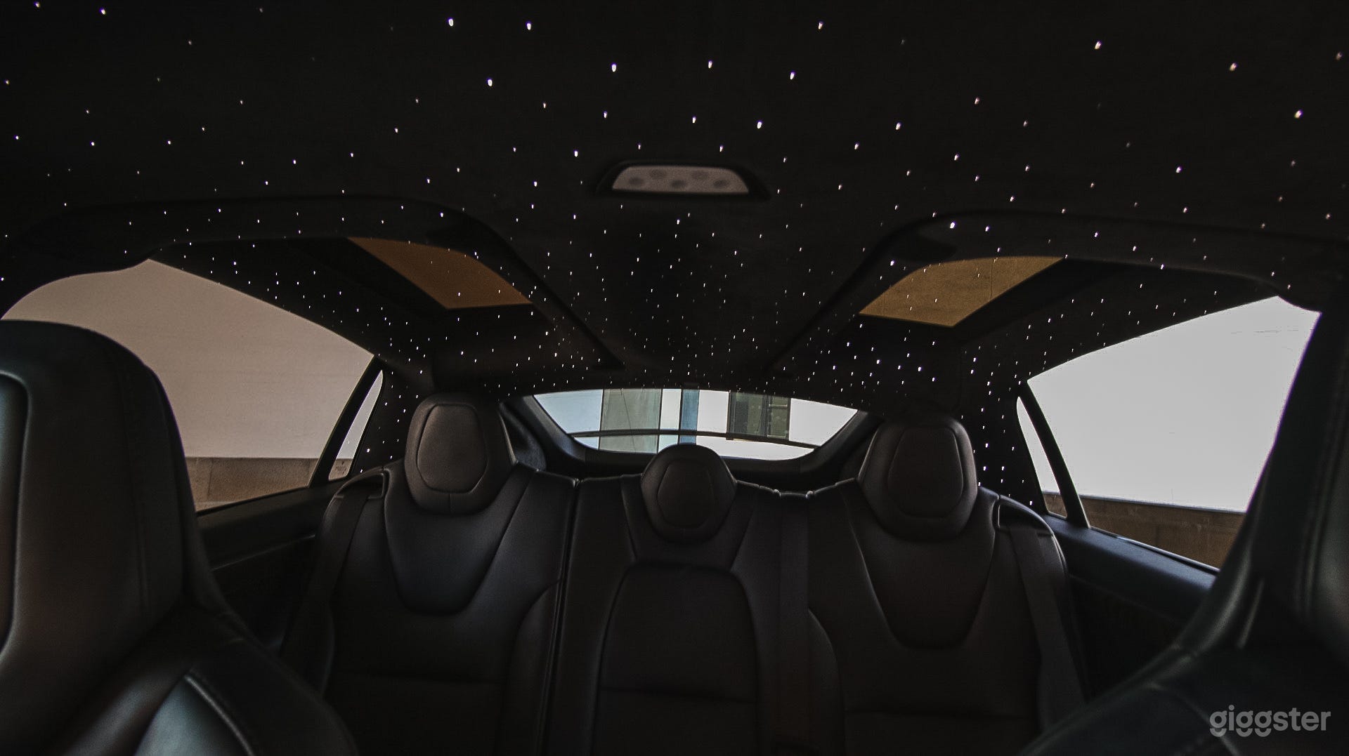 Model X P100D WITH Rolls-Royce Headliner. Photo 1