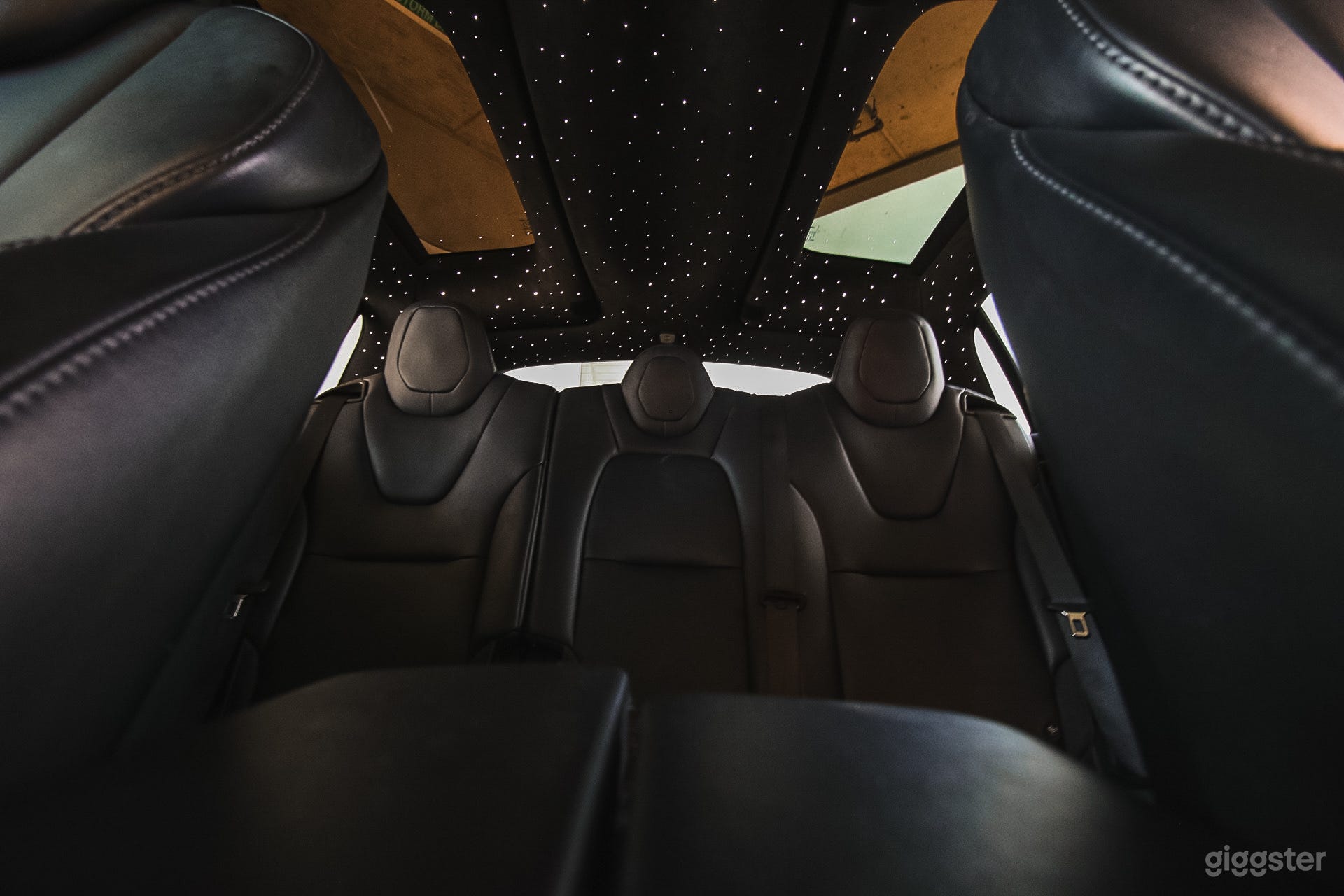 Model X P100D WITH Rolls-Royce Headliner. Photo 4