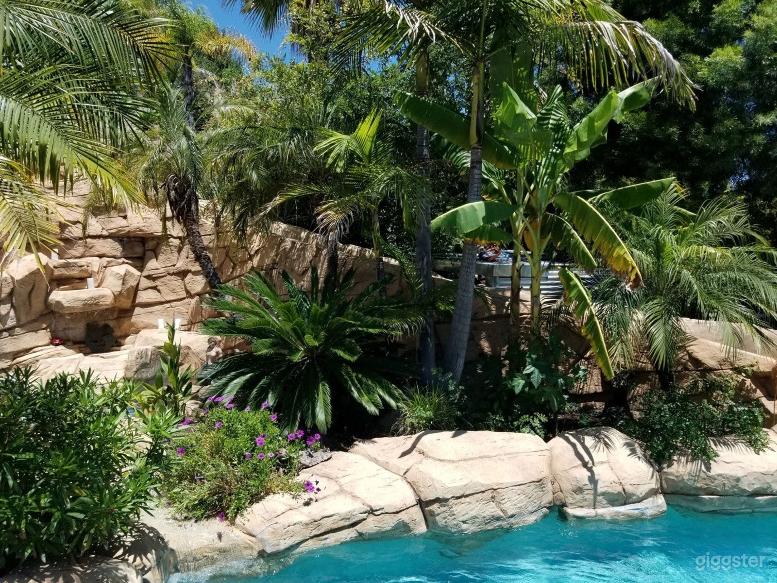 Tropical Backyard Oasis Photo 4