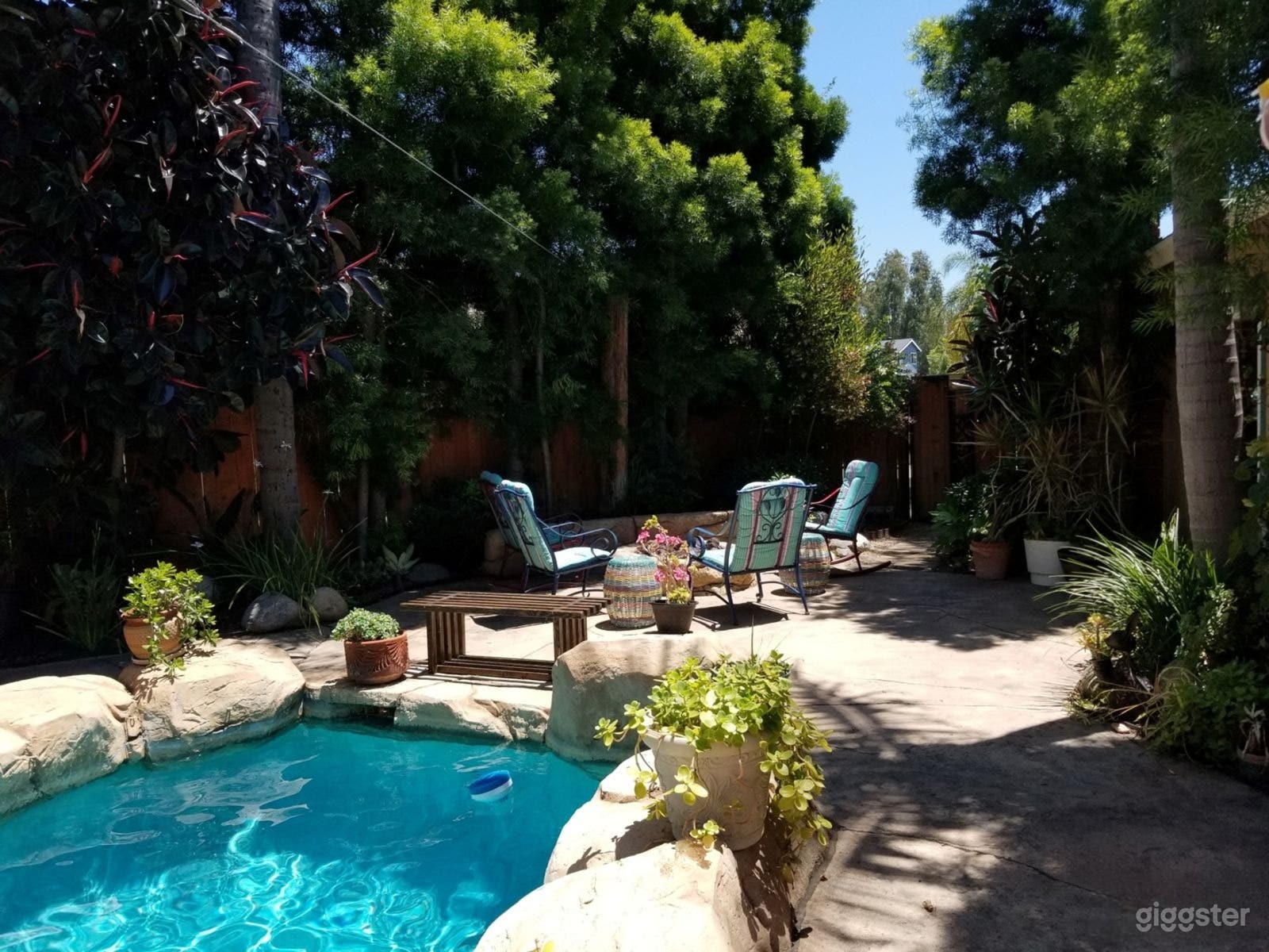 Tropical Backyard Oasis Photo 3