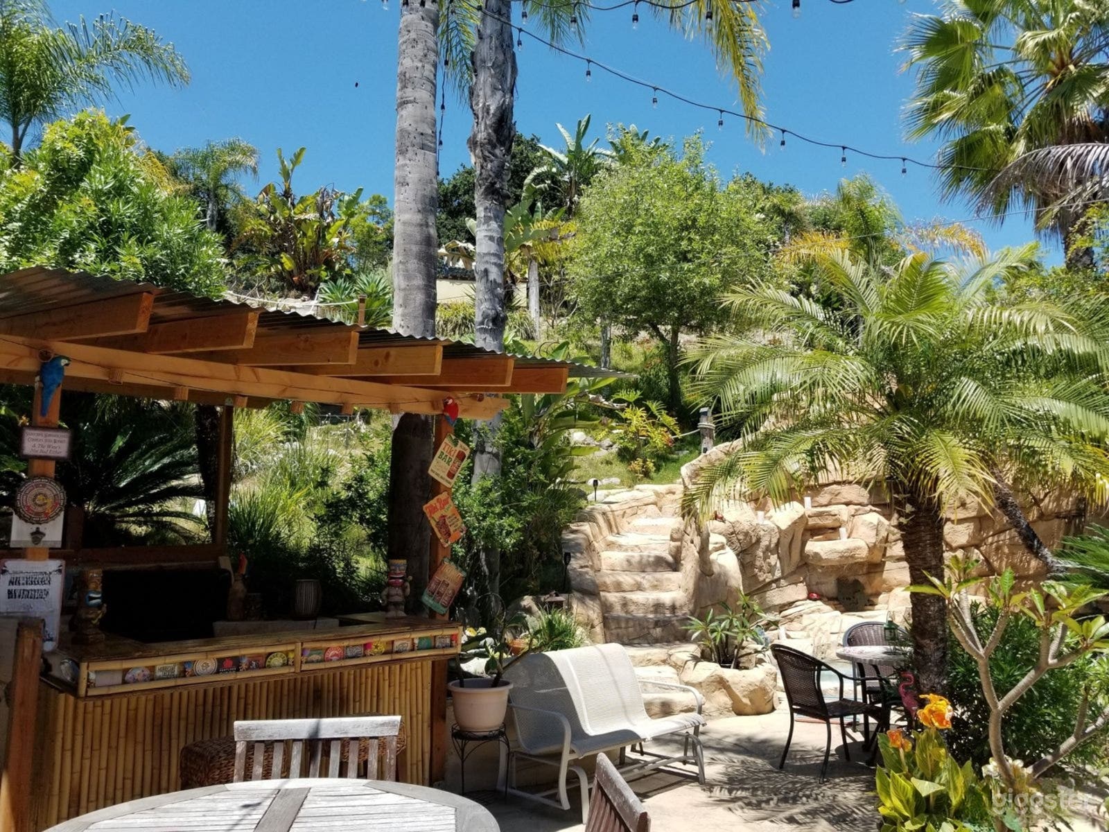 Tropical Backyard Oasis Photo 1