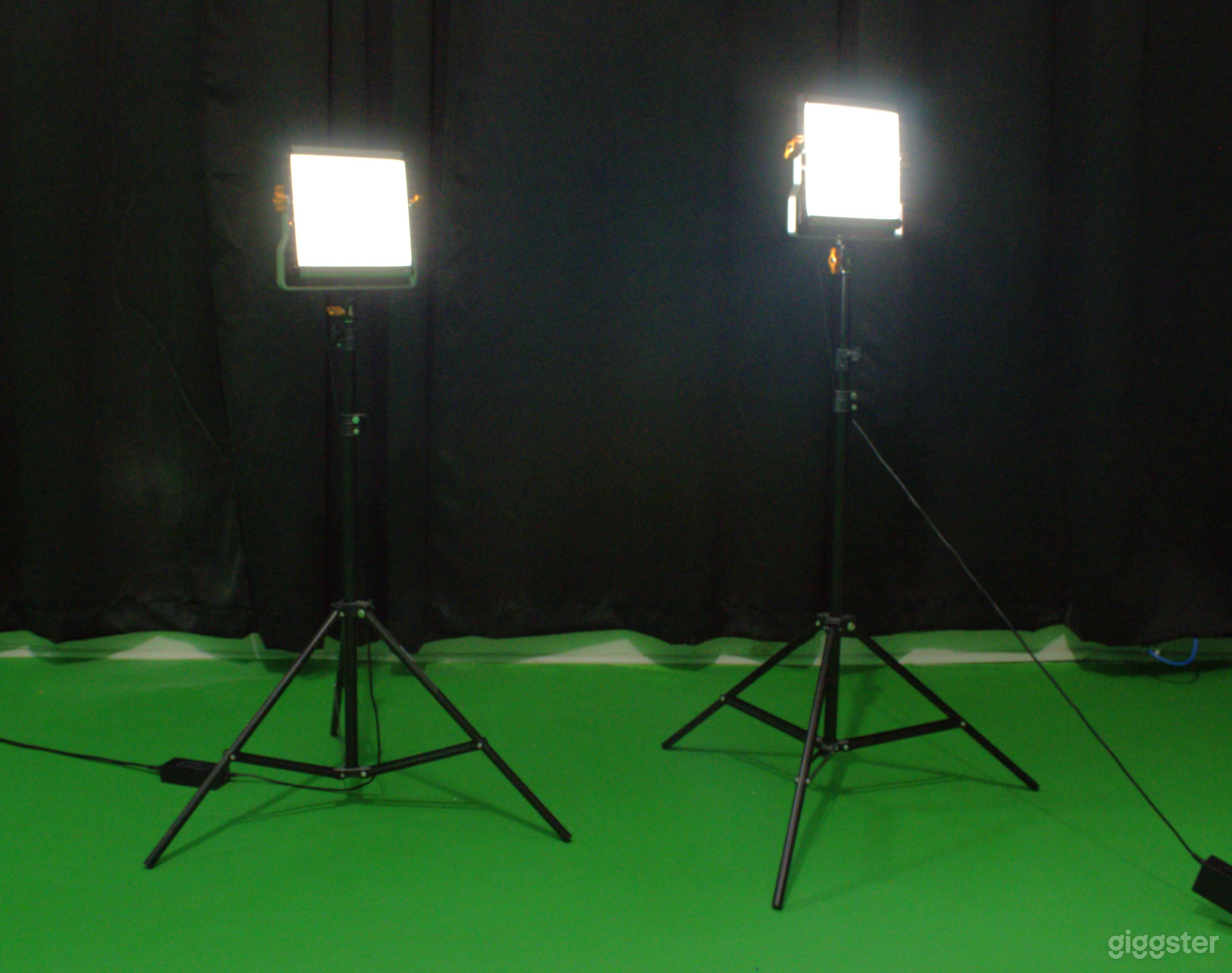 Neewer LED lights with stands - included with the booking