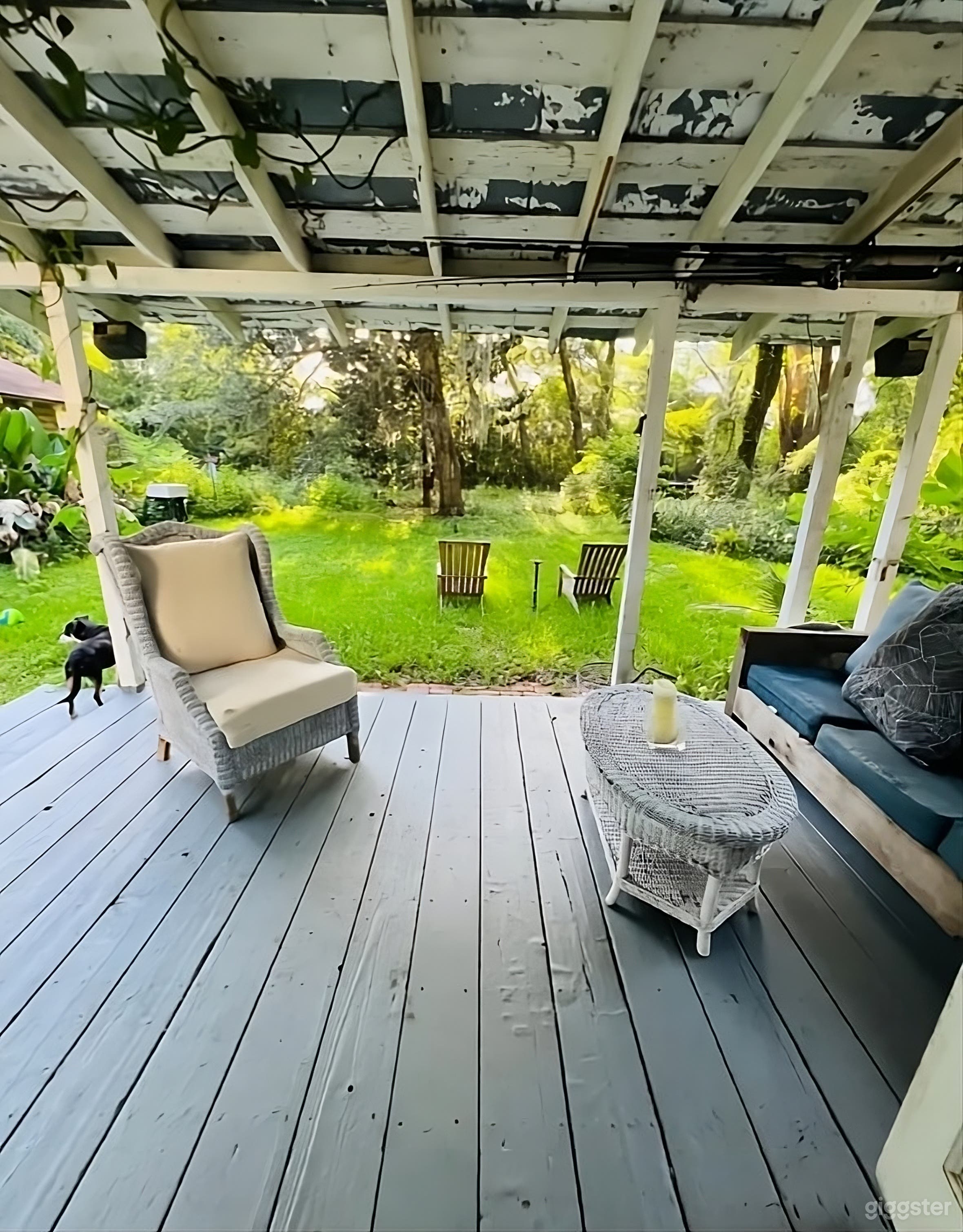 Backyard Haven Under the Oaks Photo 2