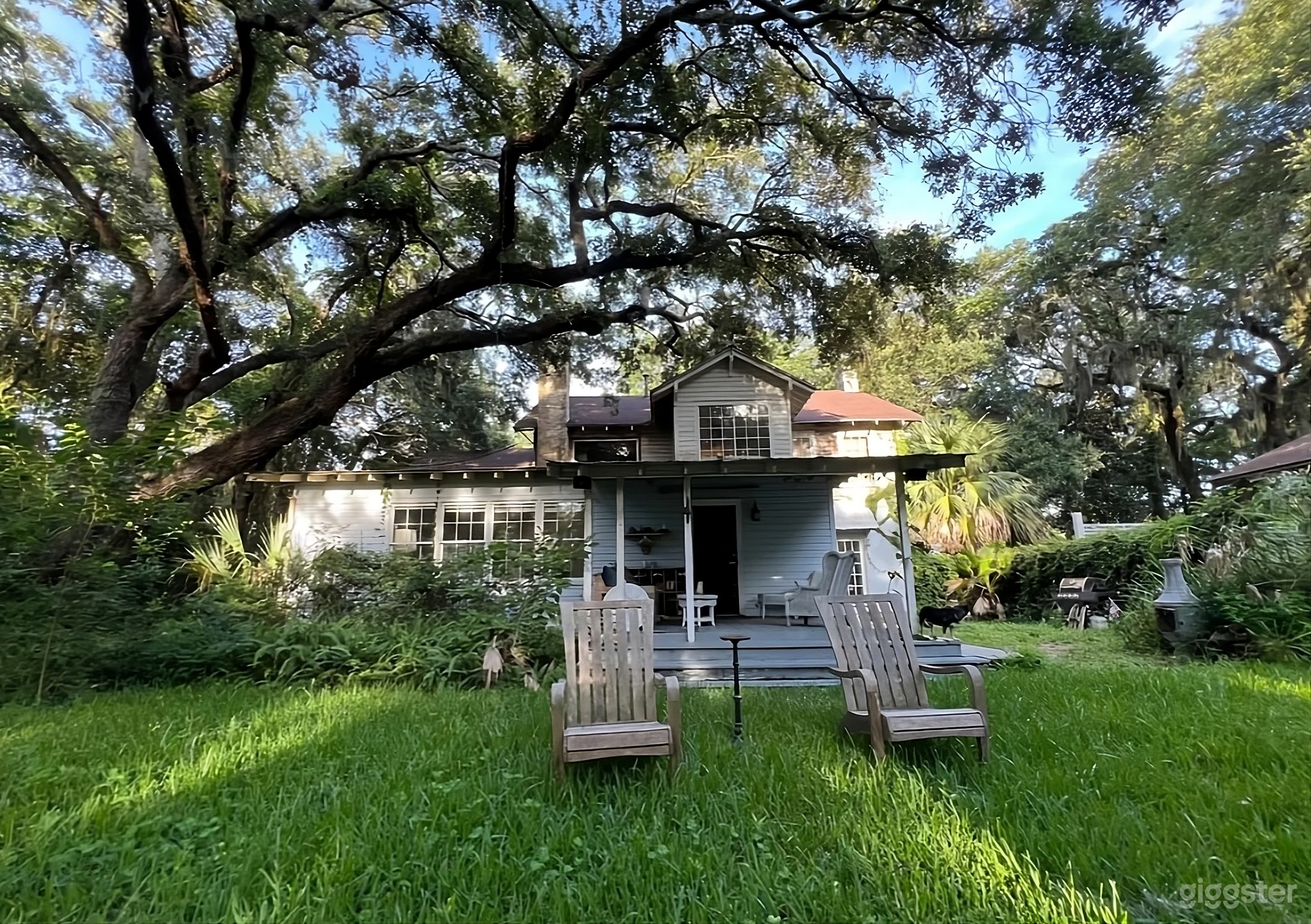 Backyard Haven Under the Oaks Photo 1