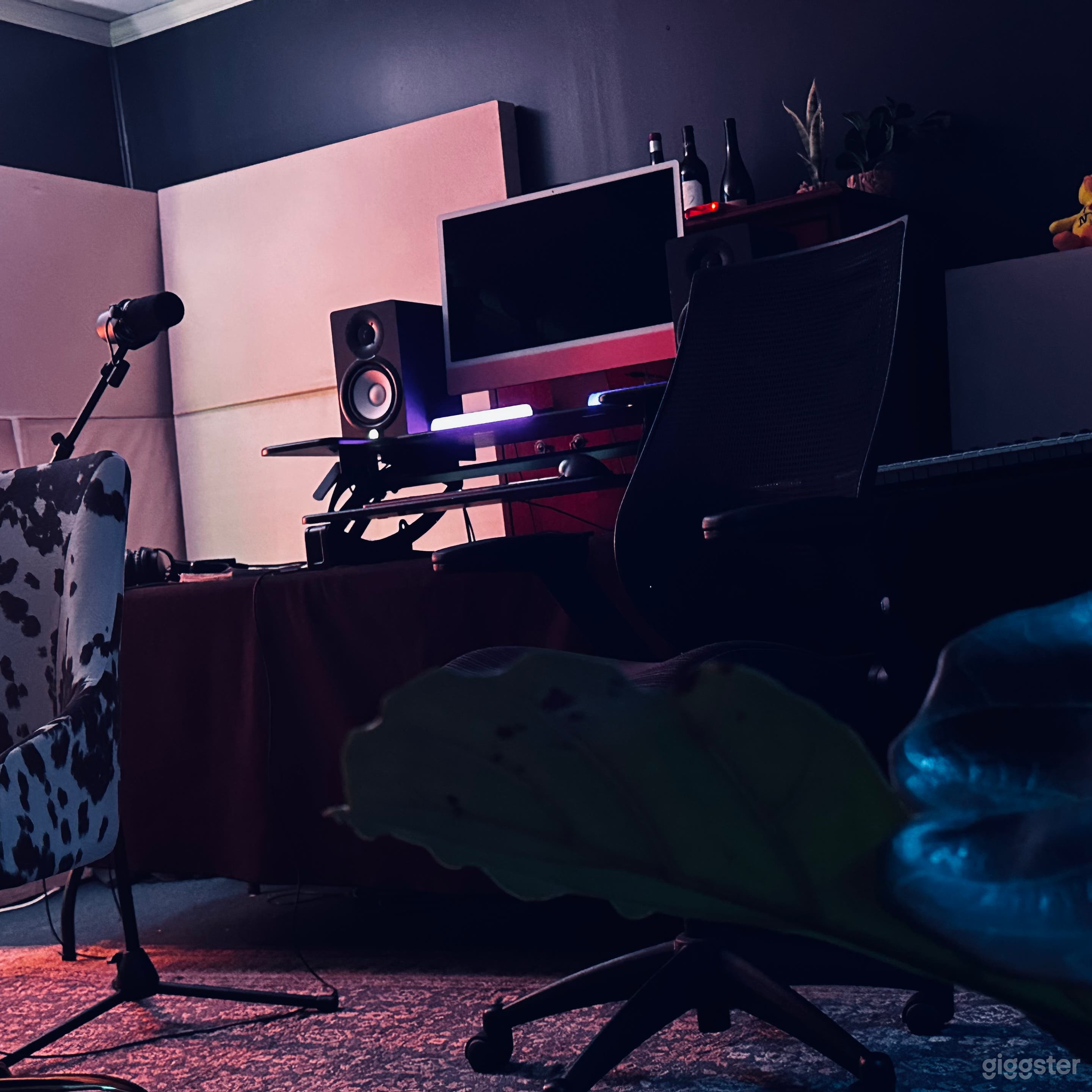 Recording Room equipment with 2 pro audio microphones (Dynamic &amp; Condenser)