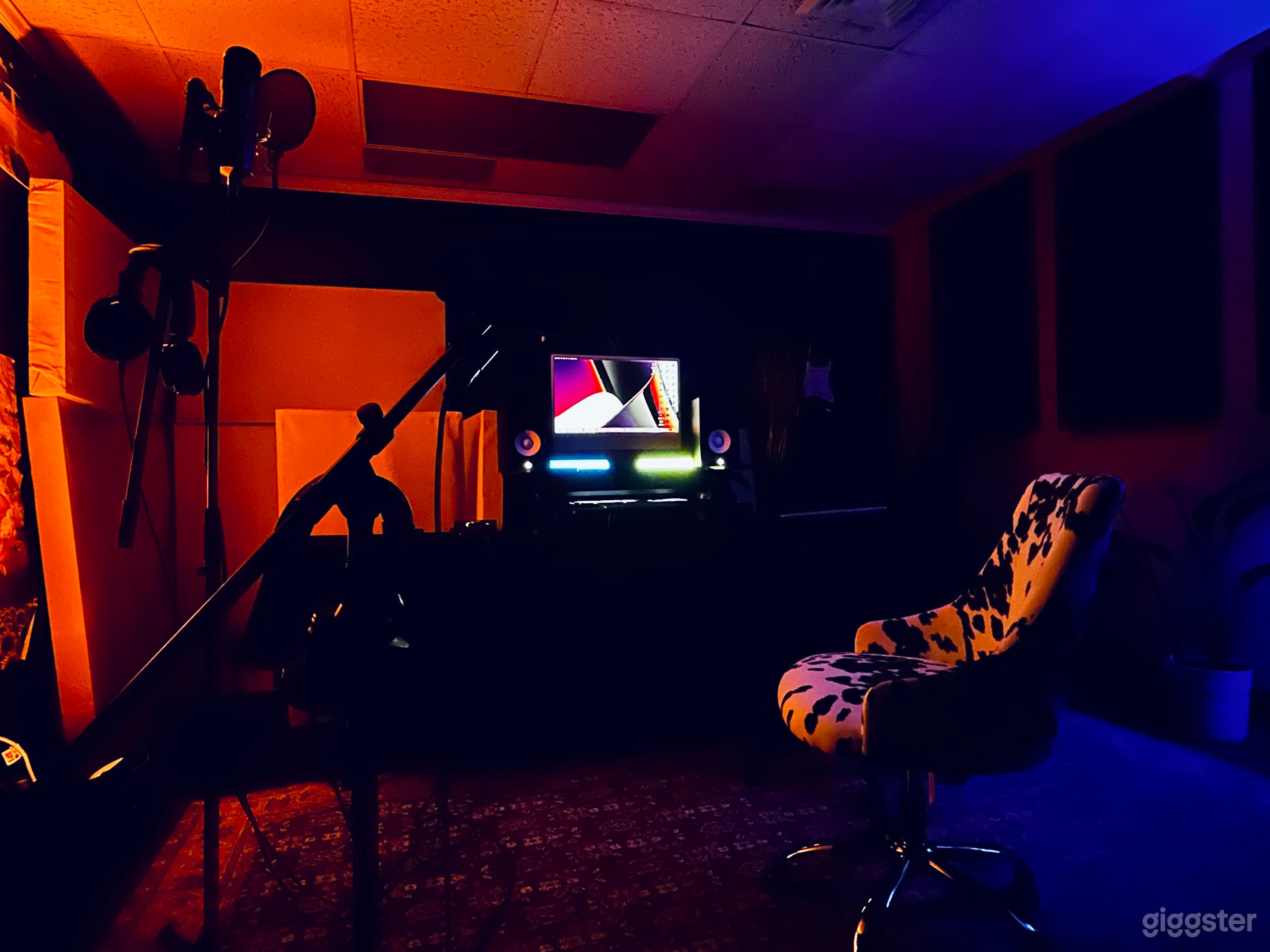 Recording Room equipment with 2 pro audio microphones (Dynamic &amp; Condenser)