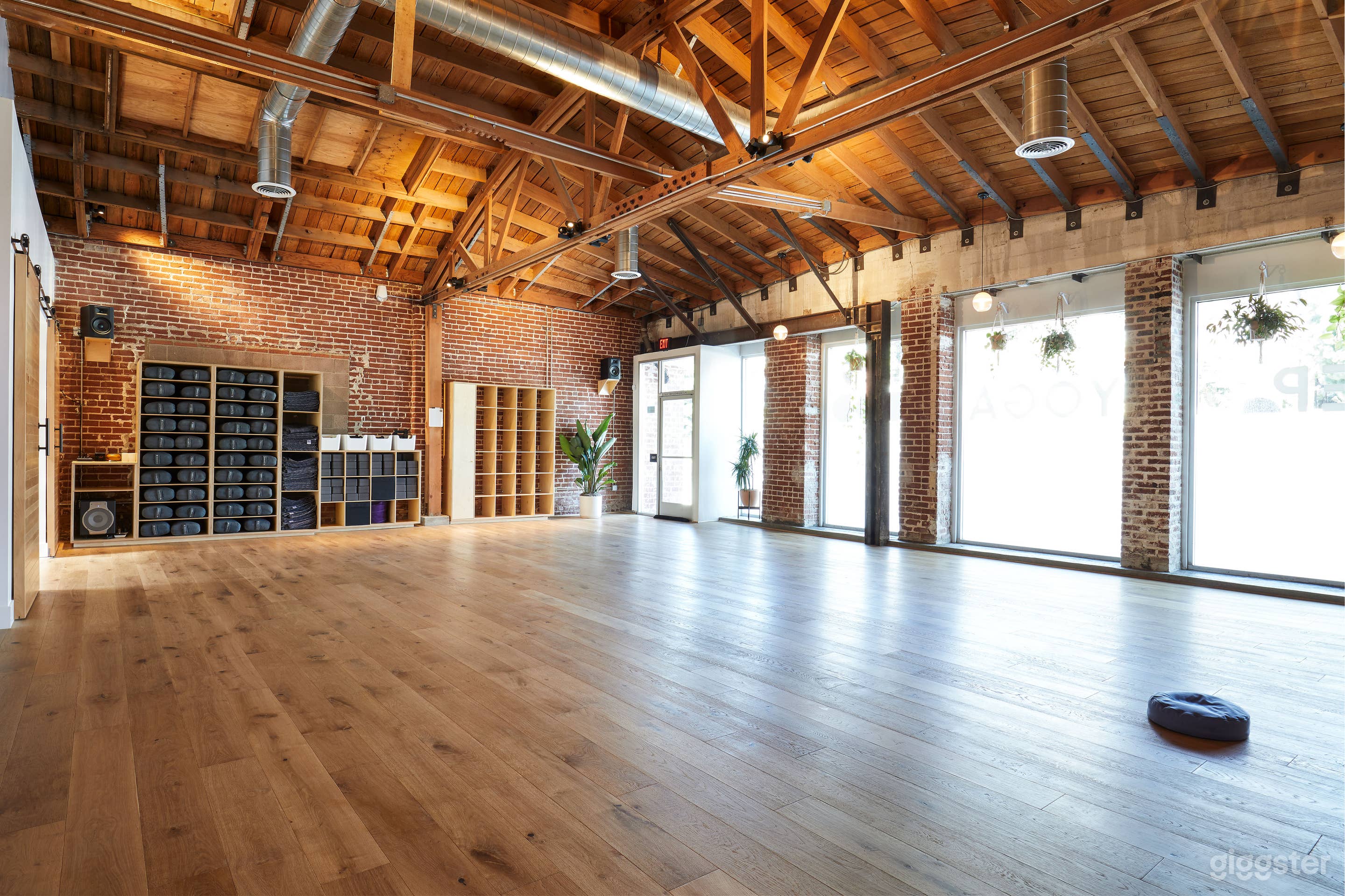 Big Dog - Larger Yoga Room 