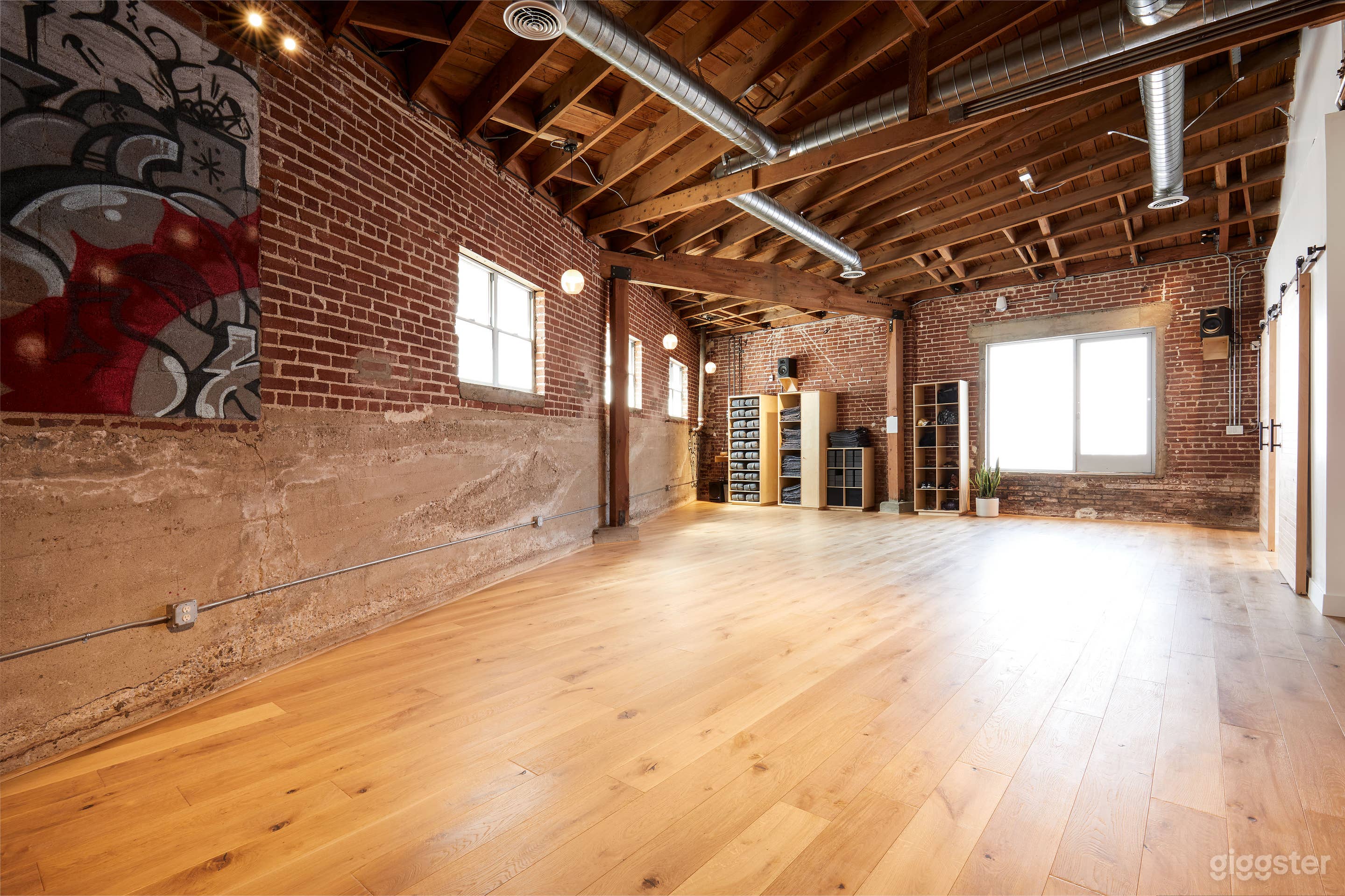 Little Dog / Smaller Yoga Room