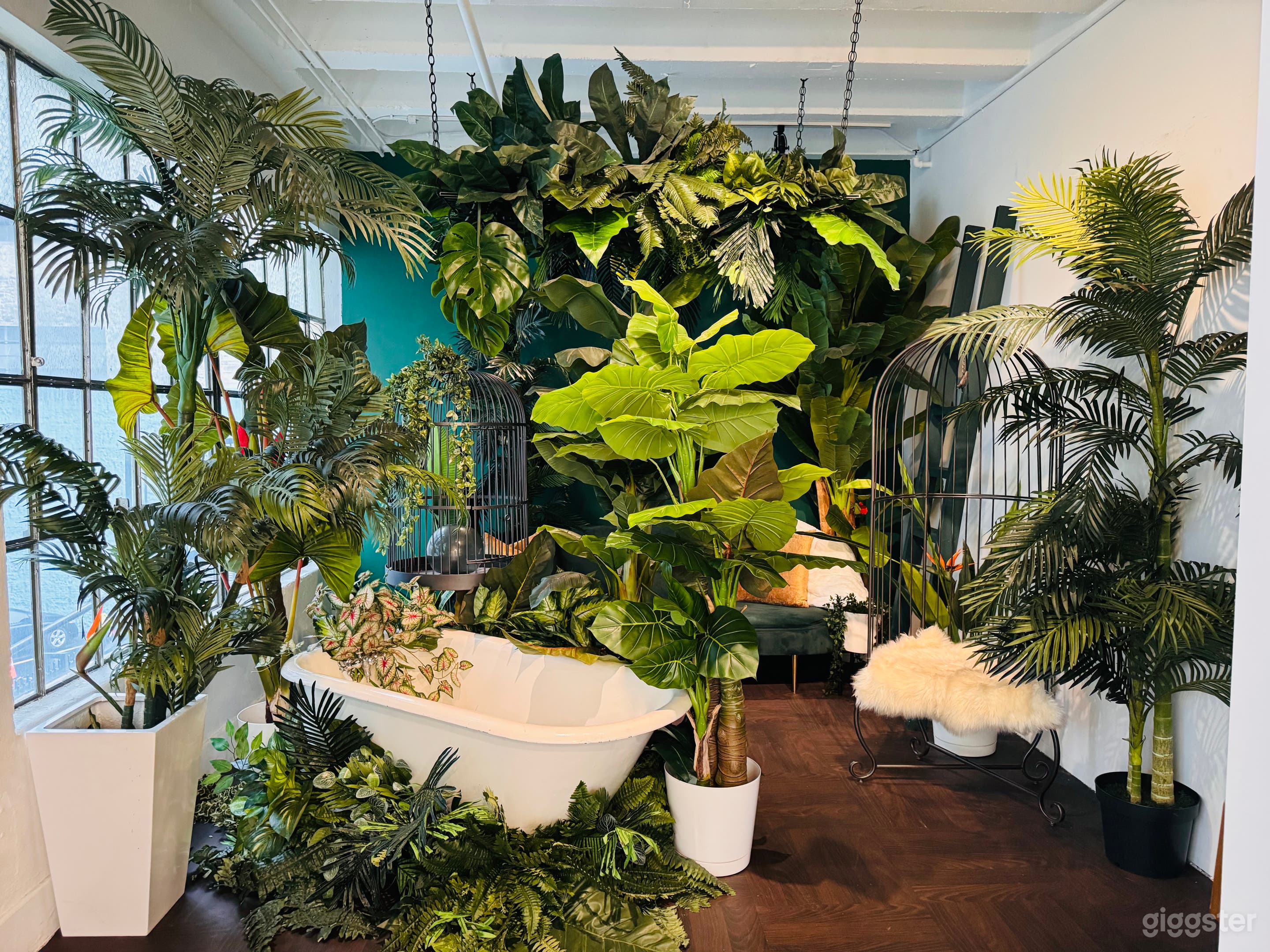 LUSH FLORA ROOM