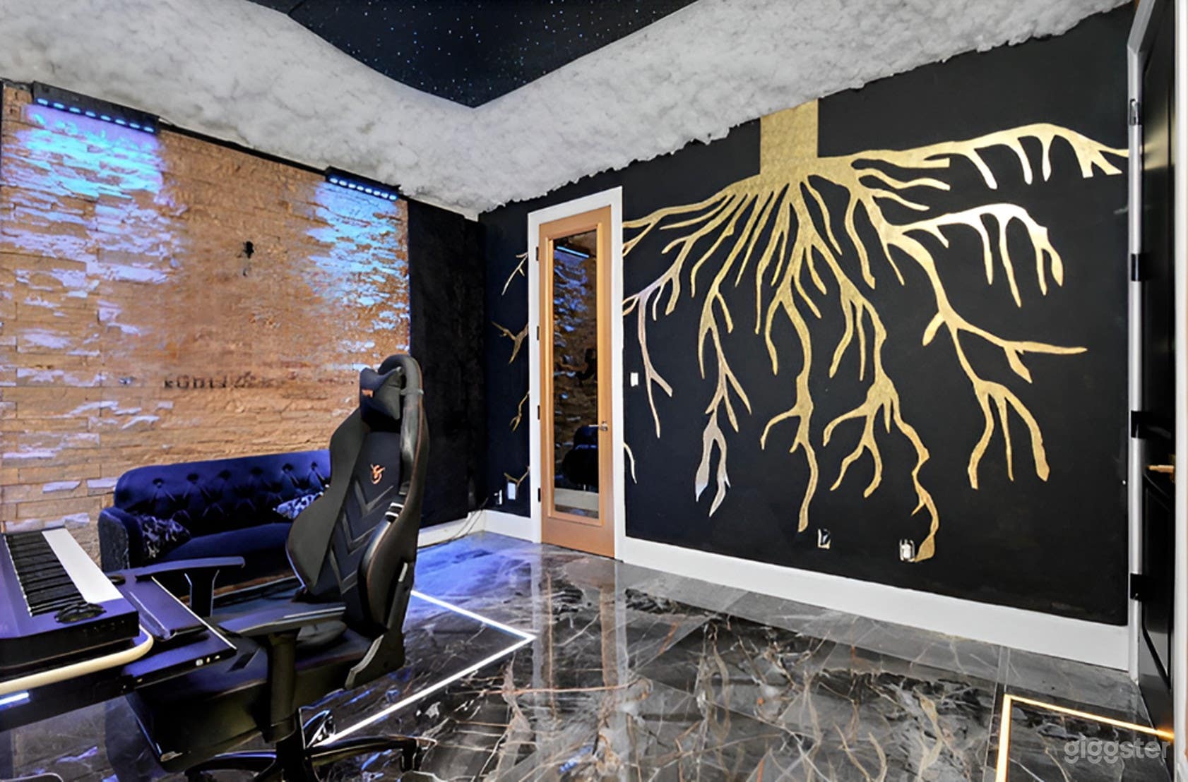 Professional Recording Studio  Photo 2