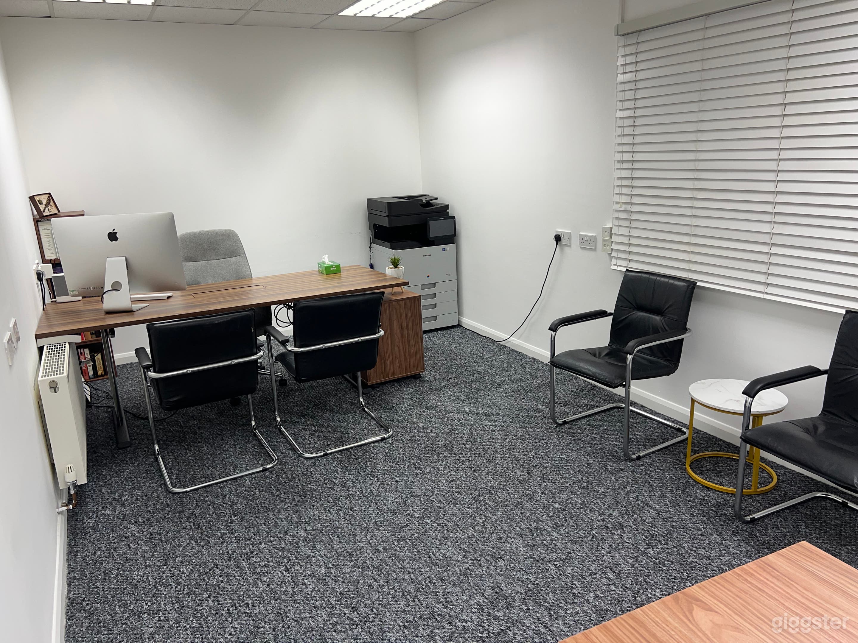 Bright Office for Private Work, Meetings or Podcast Photo 3