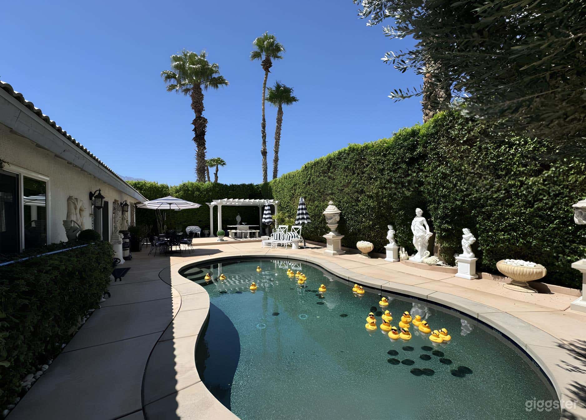 Beautiful Kidney Shaped Pool in Palm Springs Photo 3