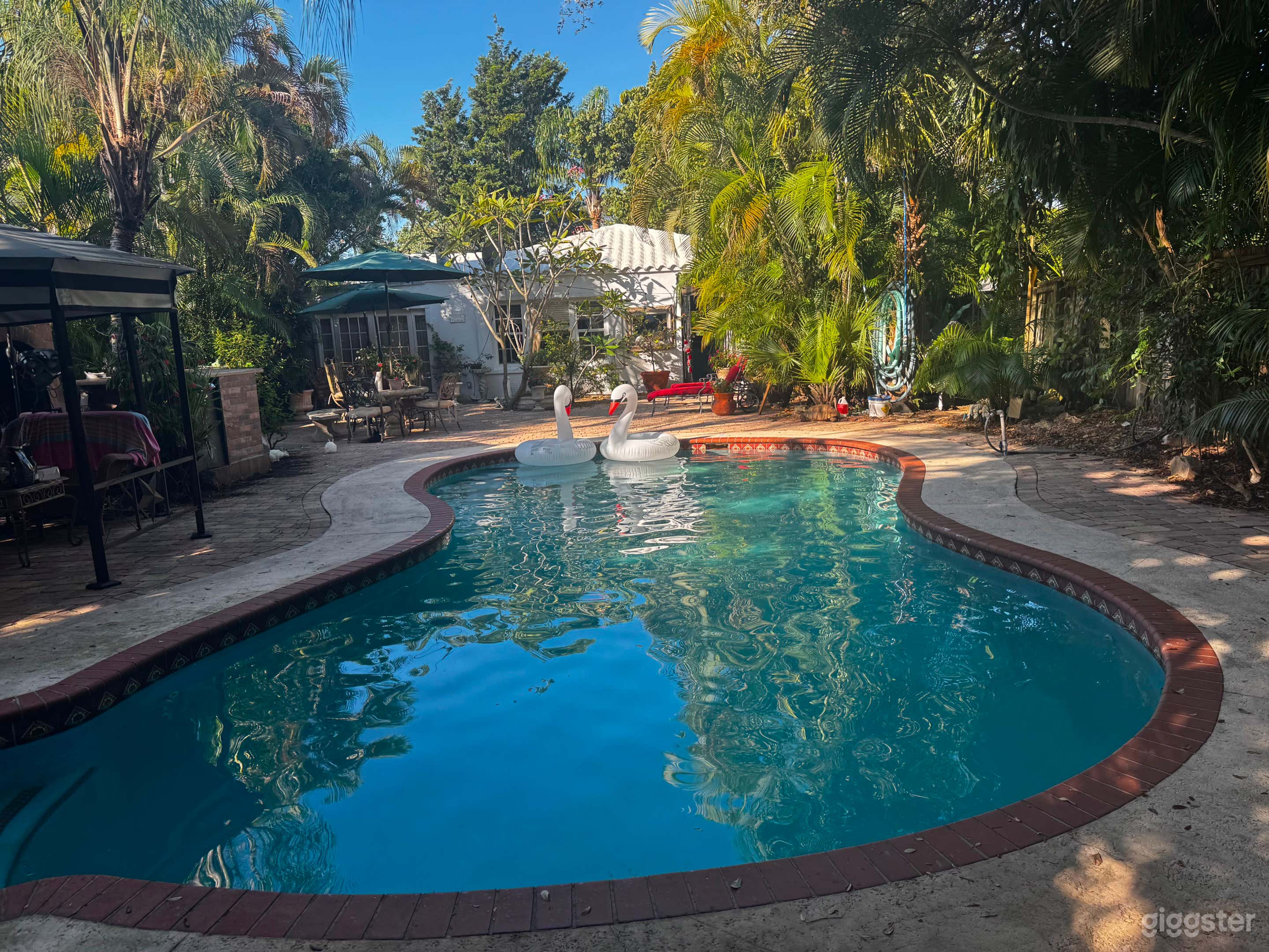 Enchanted Tropical Backyard Oasis Photo 4