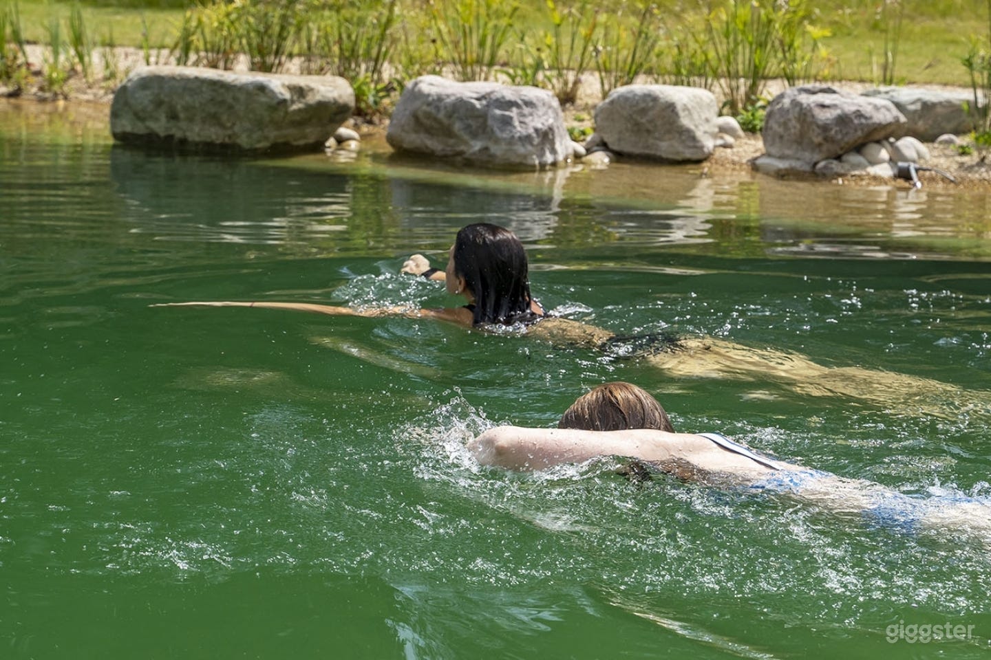 Natural Swimming Pond (30m x 14m) with Sauna & Garden Photo 3