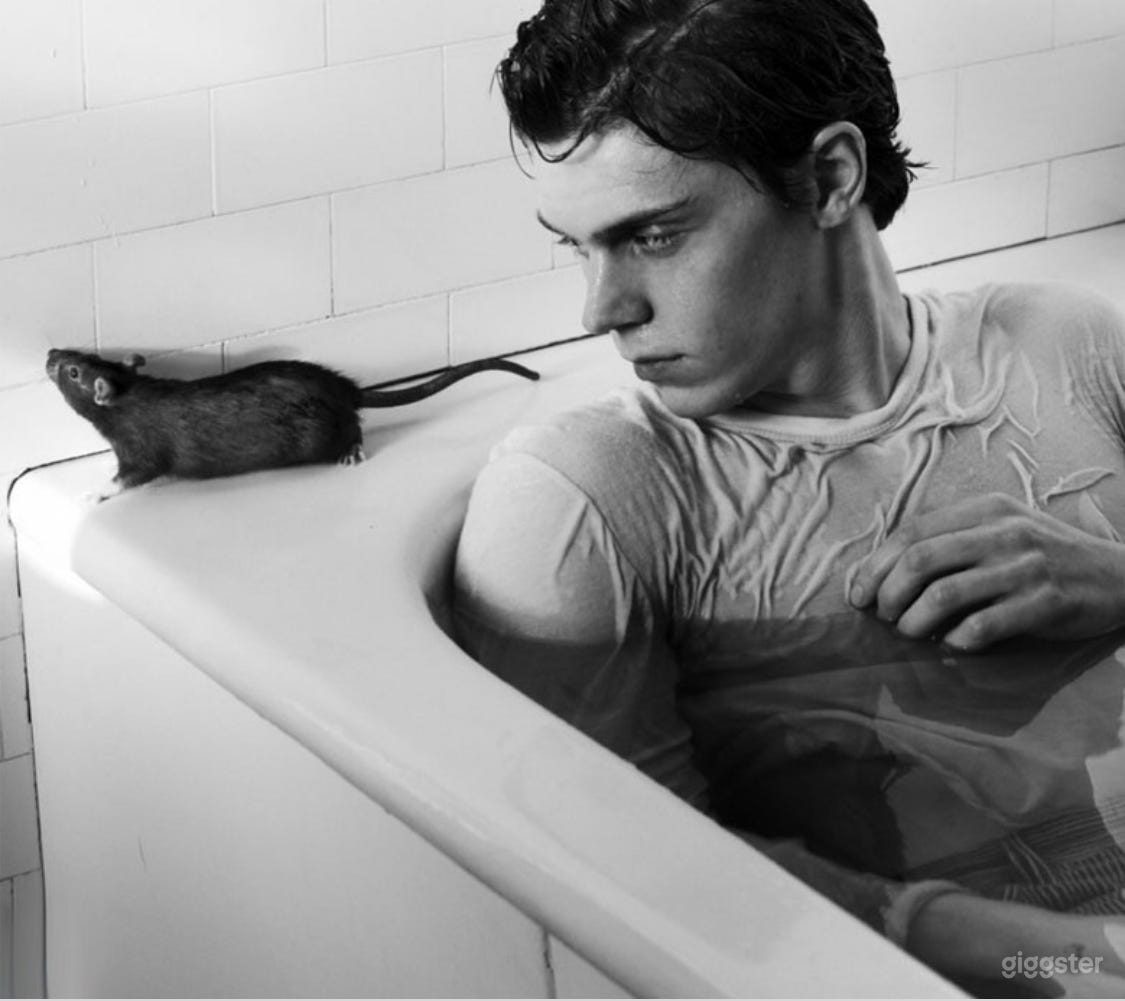 American Horror Story Estate Photo 2