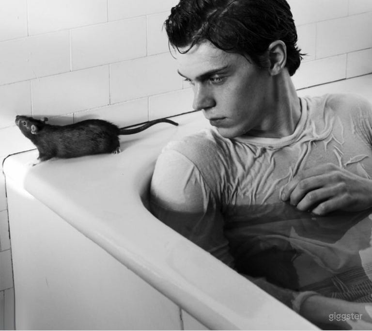  American Horror Story Estate 