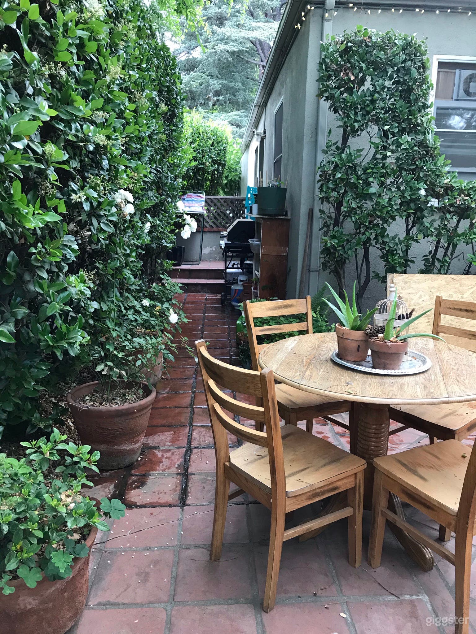 Path leading from patio to service area.