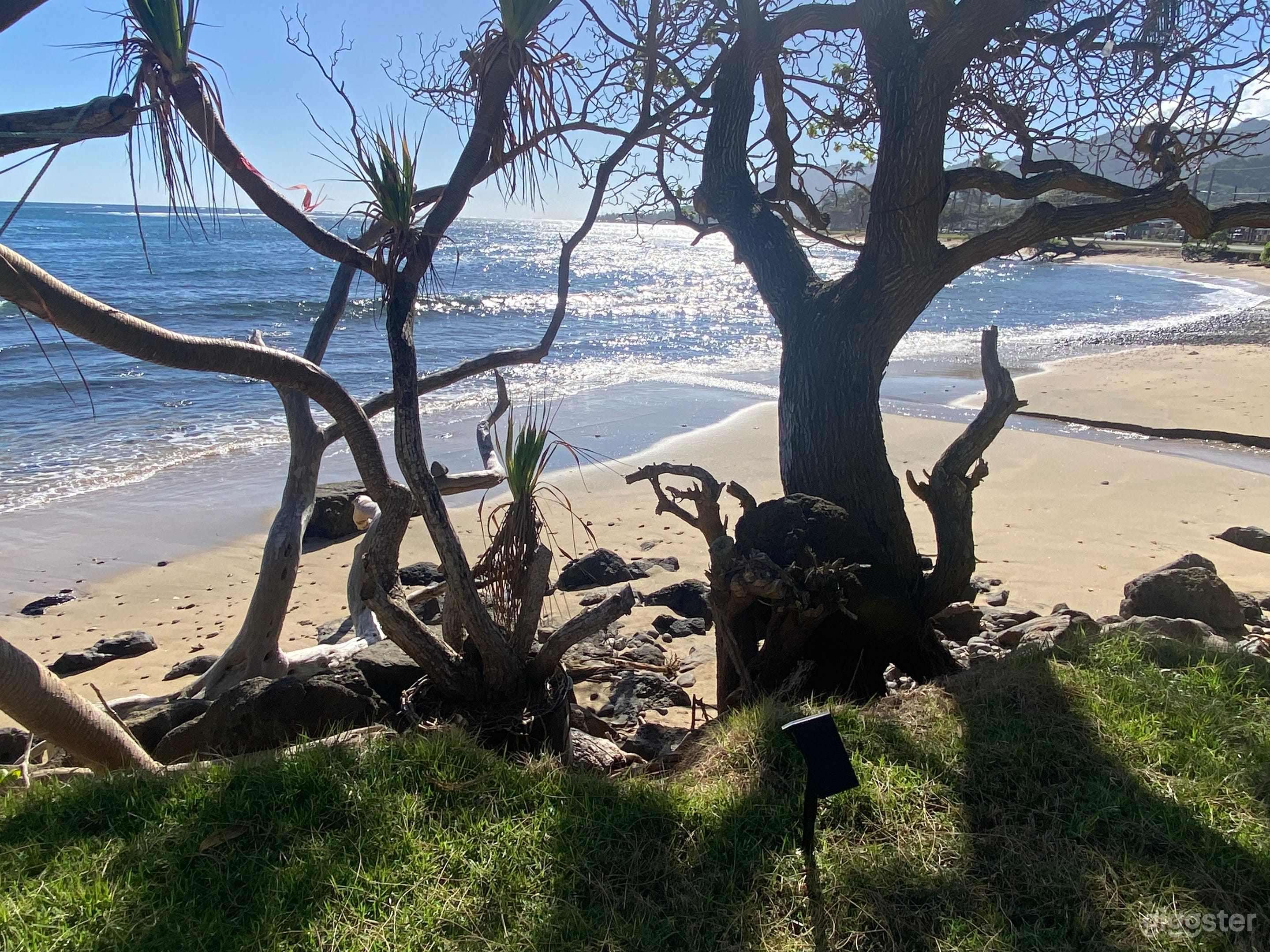 Beach White Villa on a Ocean in Oahu Hawaii Photo 3
