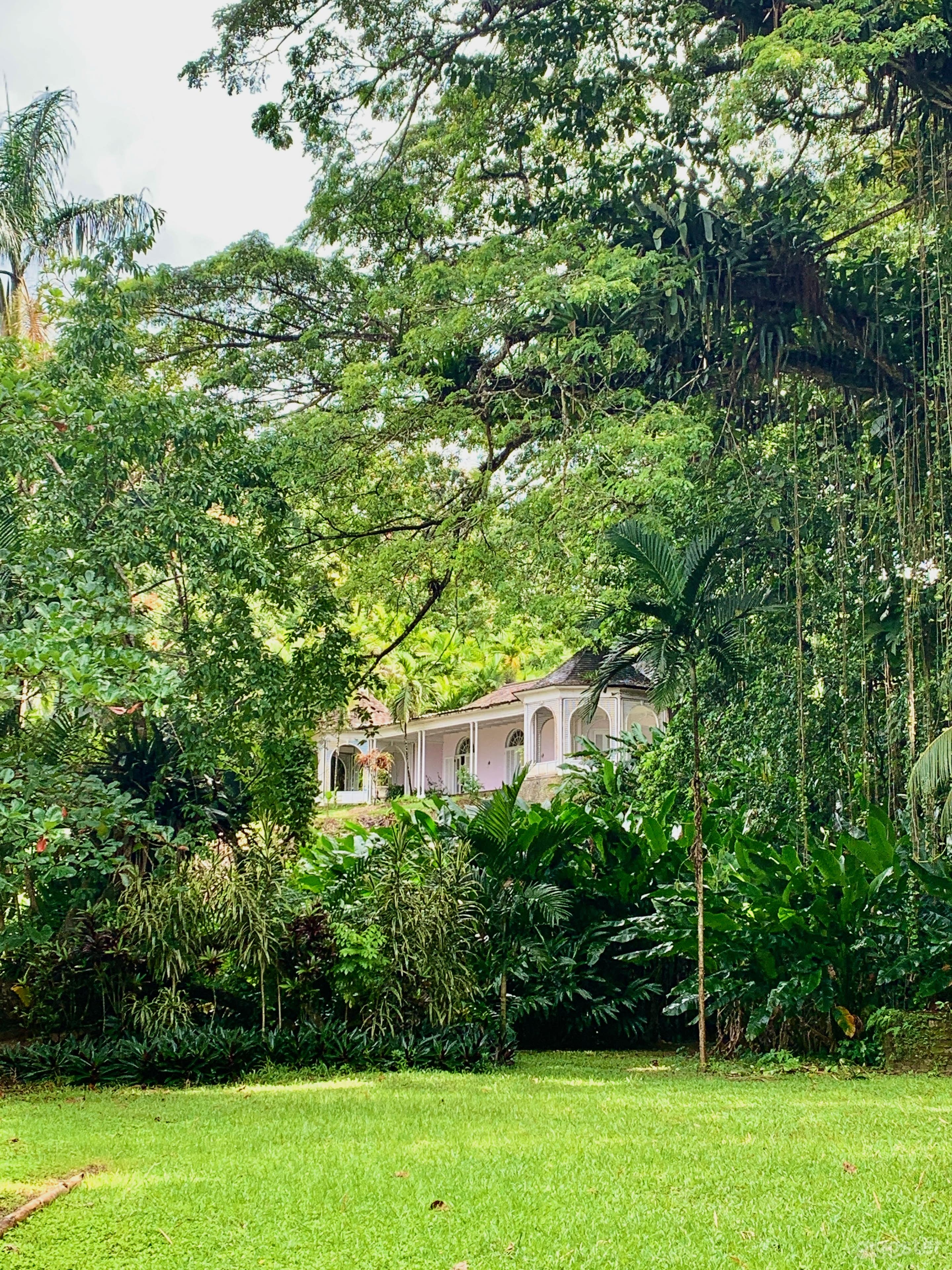 Lush jungle surrounds the villa, offering total seclusion and a dramatic natural backdrop — perfect for scenes requiring tropical, untouched settings.