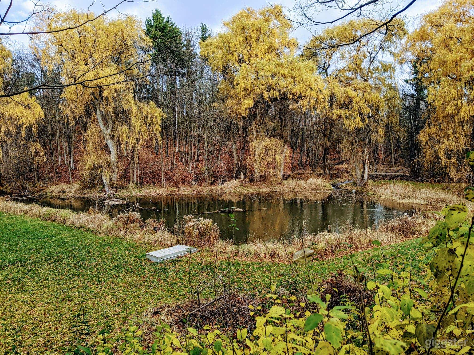 Wellness Retreat Photo 3