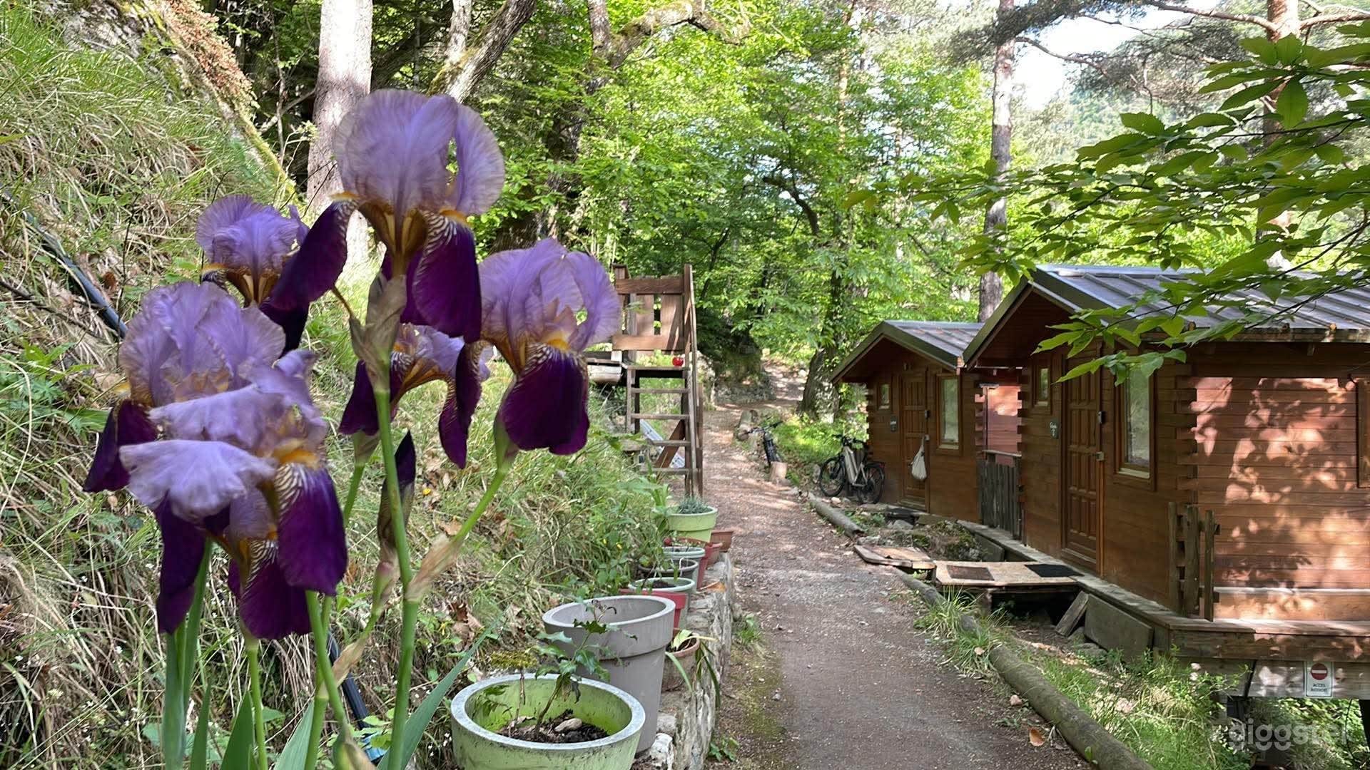 Photo de Tree Cabins, Roya Valley 3