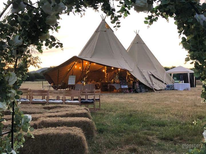 300 acres of flower growing for nature. Photo 3