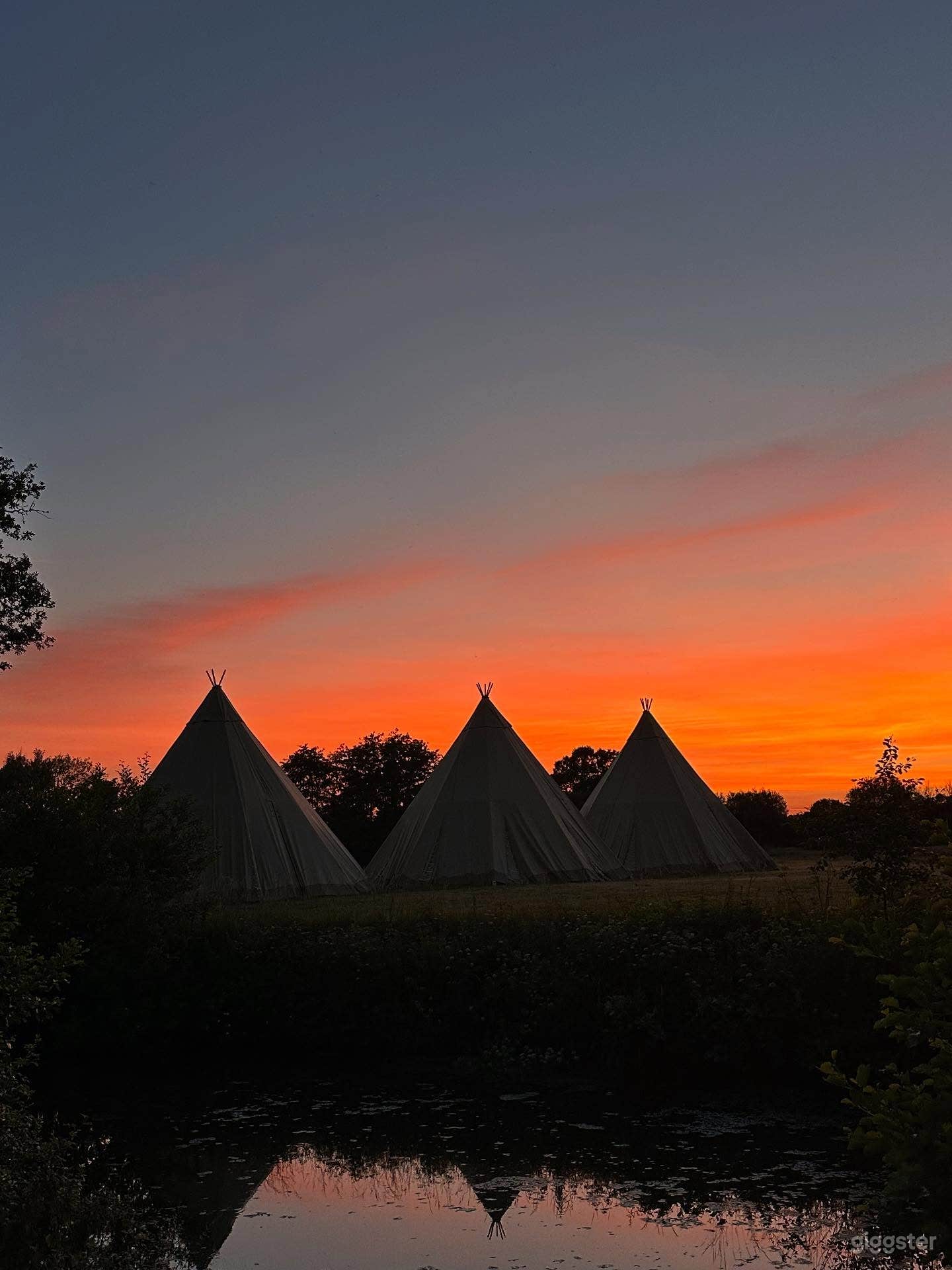 300 acres of flower growing for nature. Photo 1
