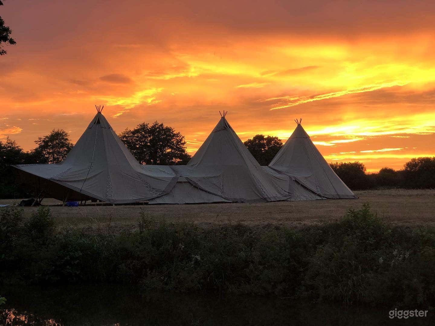 300 acres of flower growing for nature. Photo 4