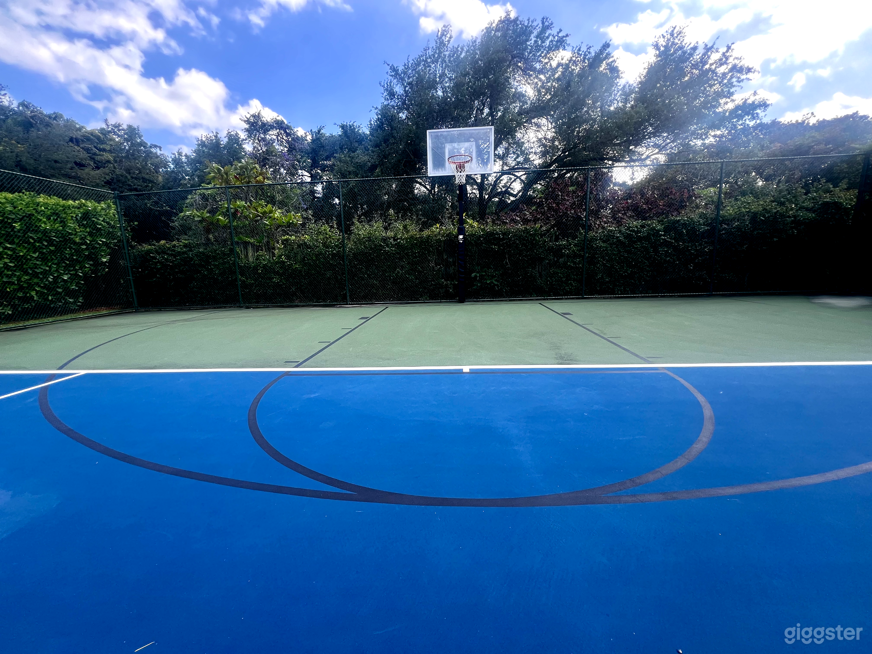 Backyard &amp; Tennis &amp; Basketball + Pool Photo 4