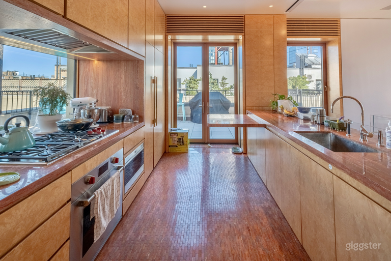  Shapira's Elegant/Artistic/High-End Penthouse 