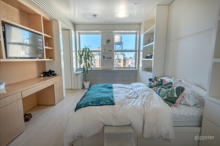  Shapira's Elegant/Artistic/High-End Penthouse 