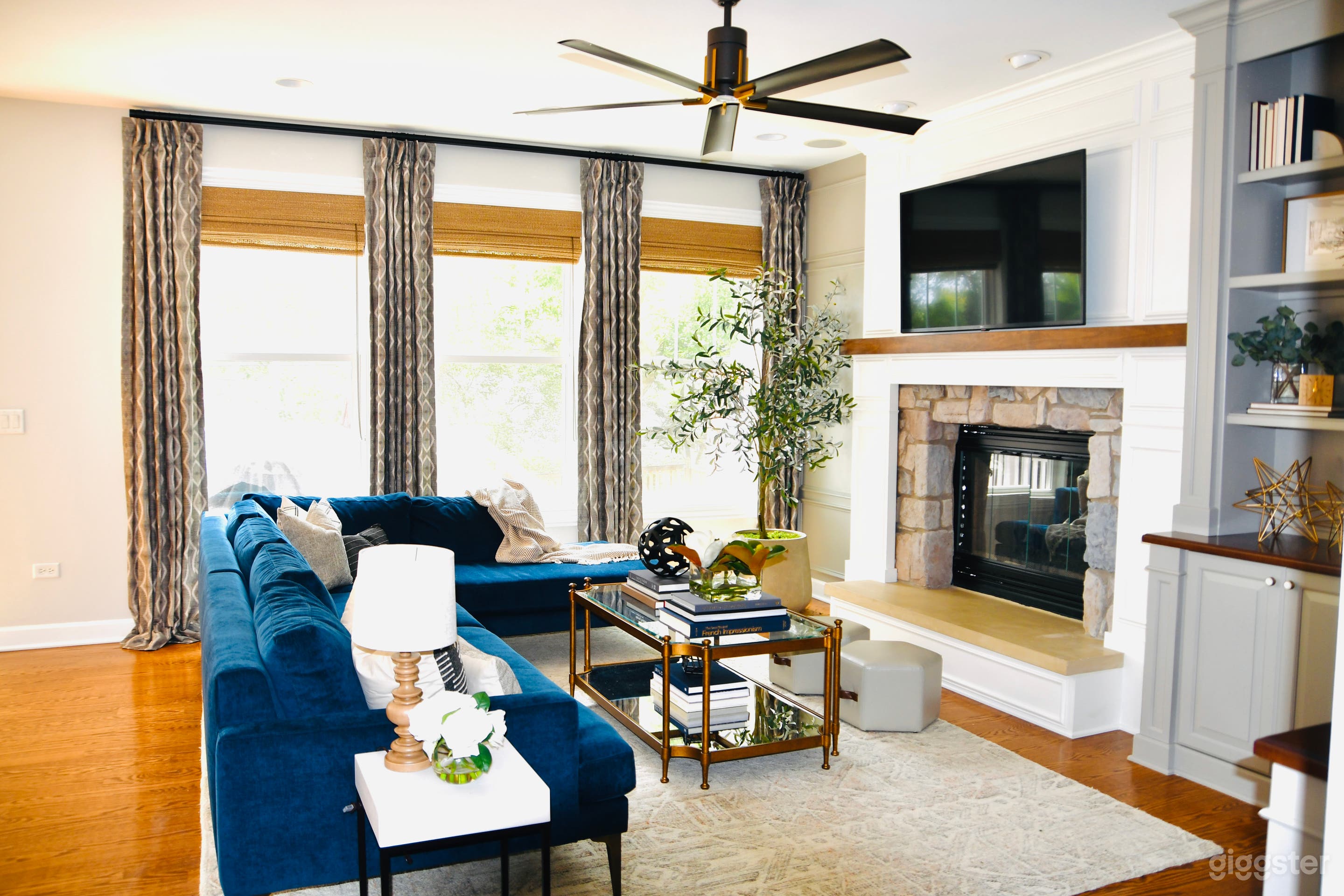 Elegant family home in Chicagoland Suburbs Photo 1