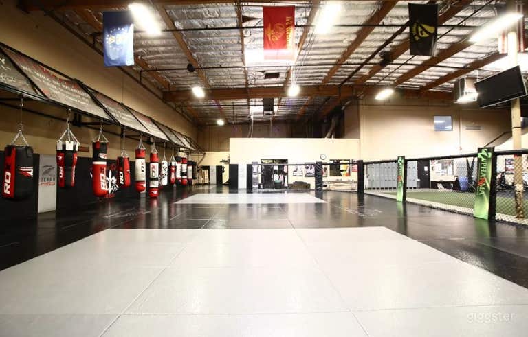  Huge Fitness Training Mat Area with Punching Bags and World Class Amenities 