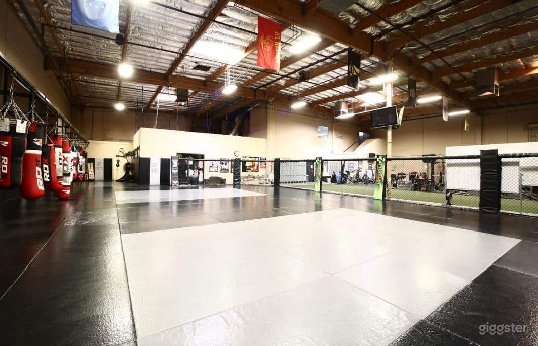 Huge Fitness Training Mat Area with Punching Bags and World Class Amenities Photo 3