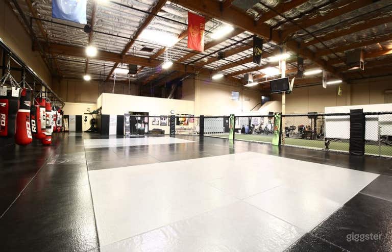  Huge Fitness Training Mat Area with Punching Bags and World Class Amenities 