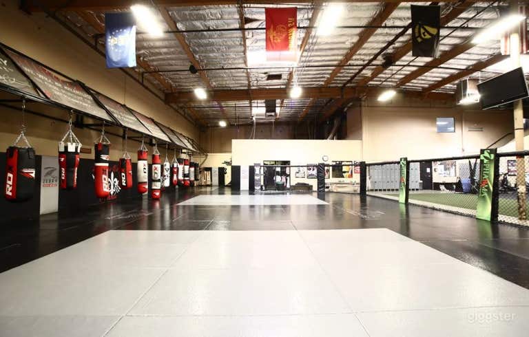  Huge Fitness Training Mat Area with Punching Bags and World Class Amenities 