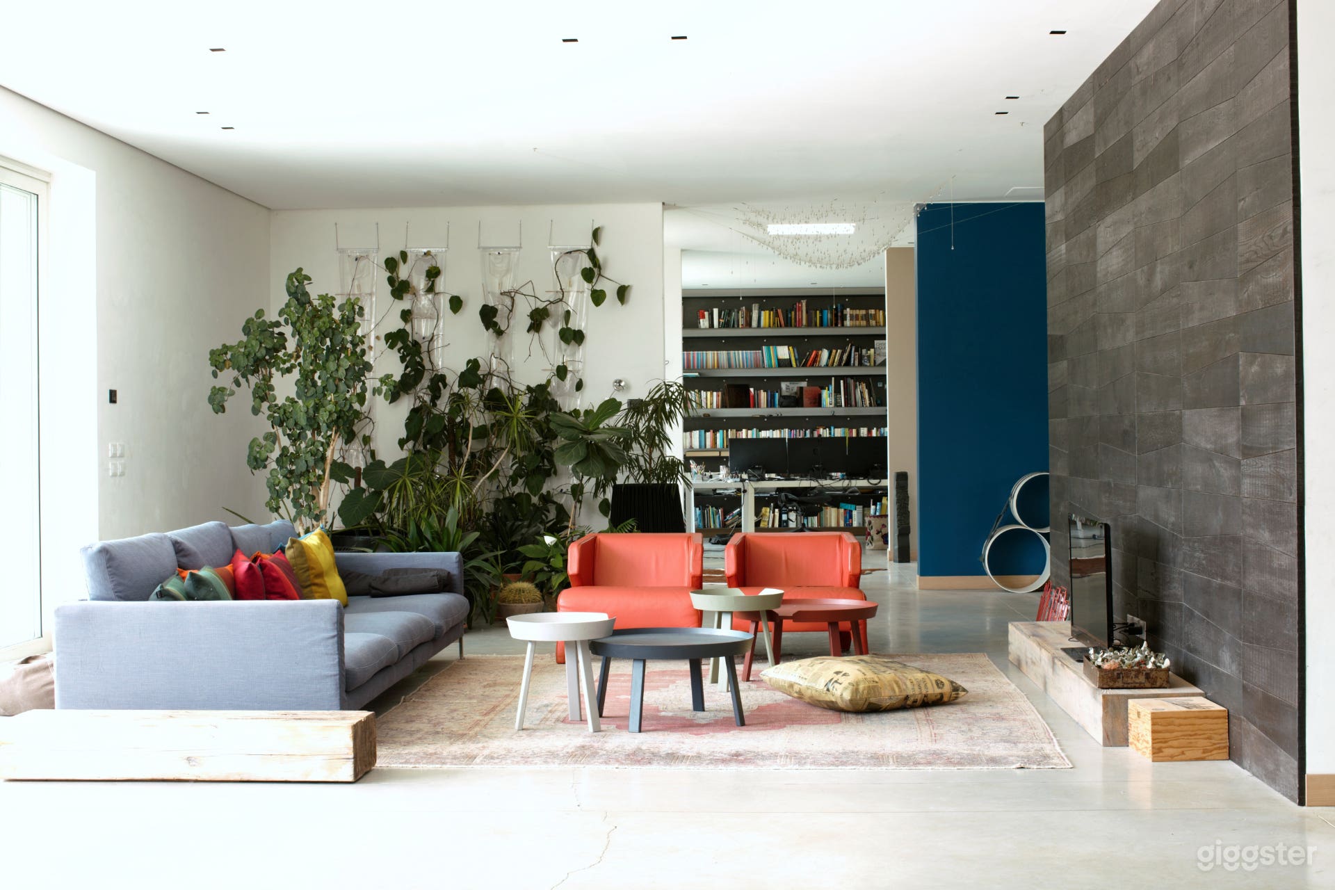 Gorgeous Contemporary Villa  Photo 4