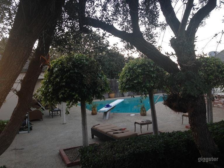 Large Pool Oasis Photo 4