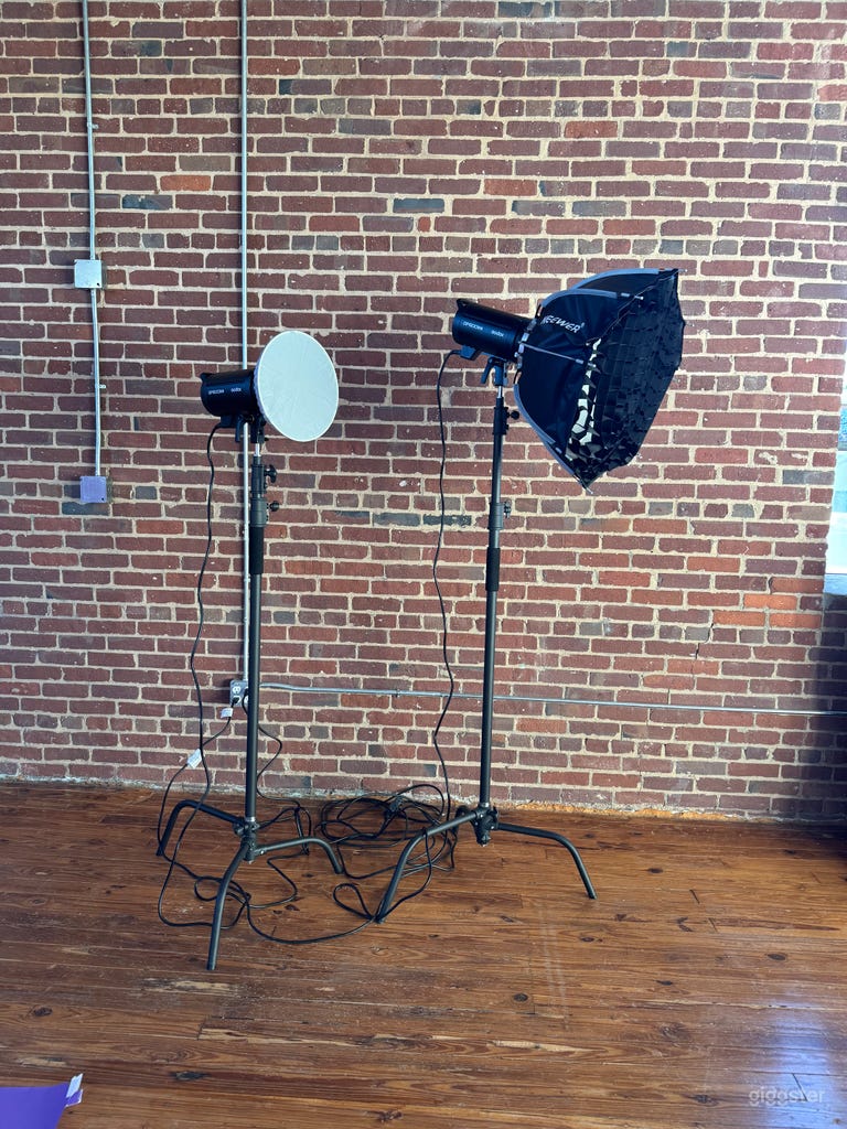  Sun-drenched Photo Loft Downtown 