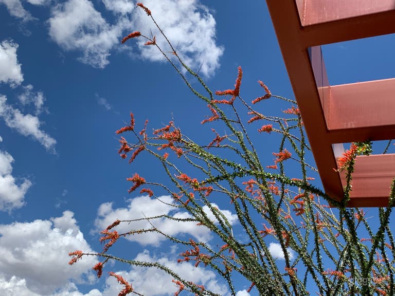  Surrounding by Natures 