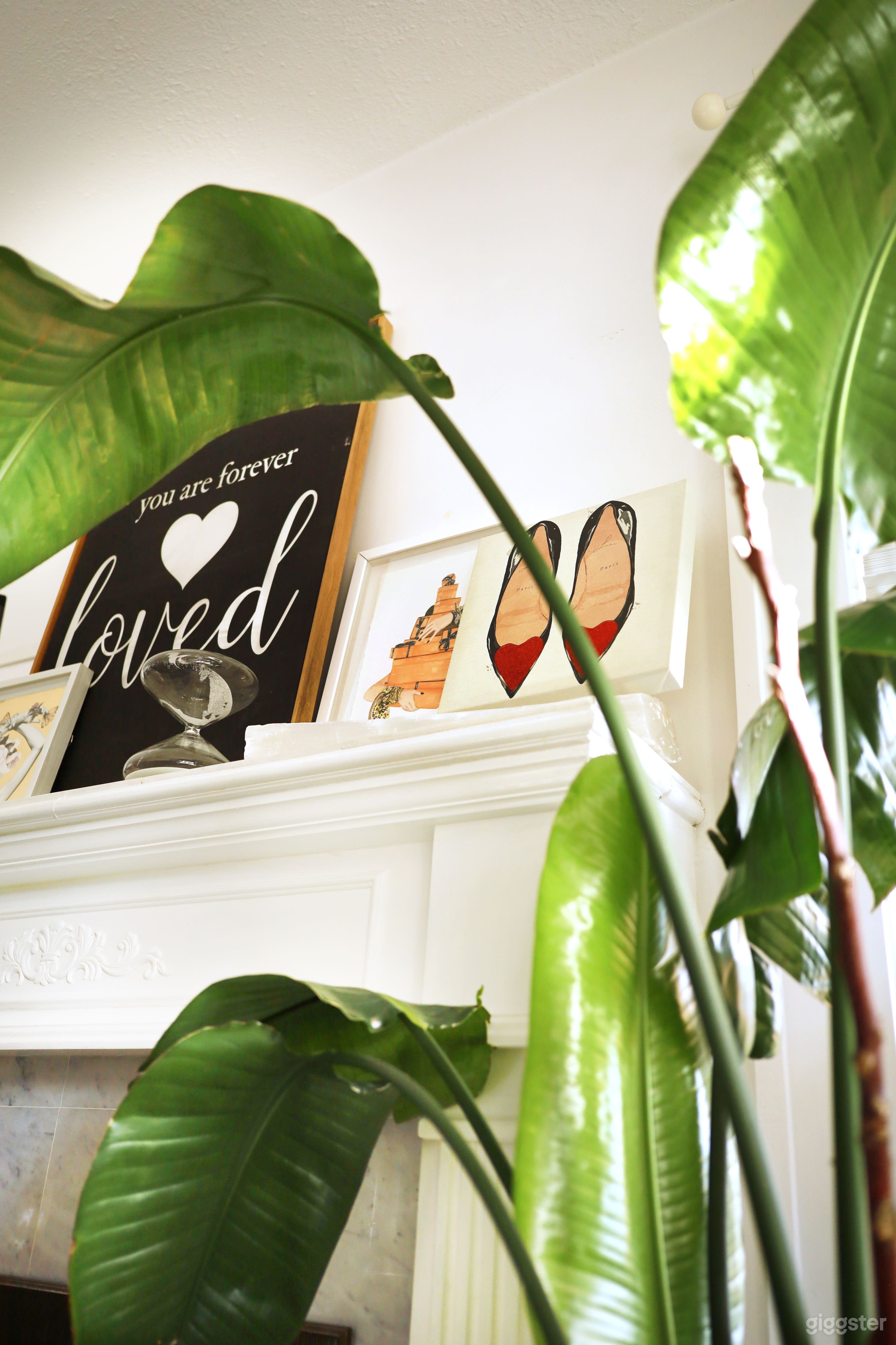 House studio in Kits  Photo 3