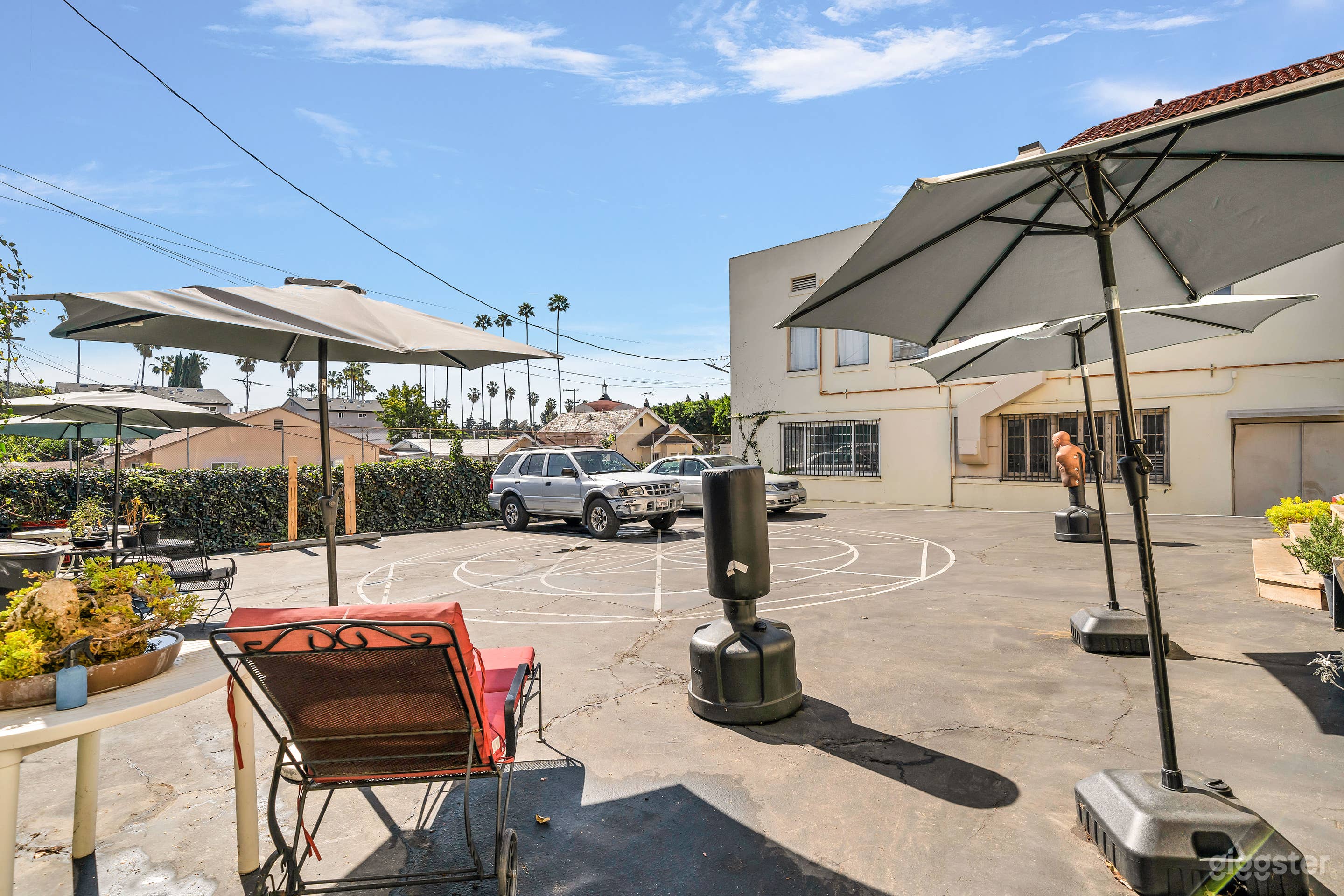 SWEEP THE LEG COBRA KAI STYLE DOJO Photo 4