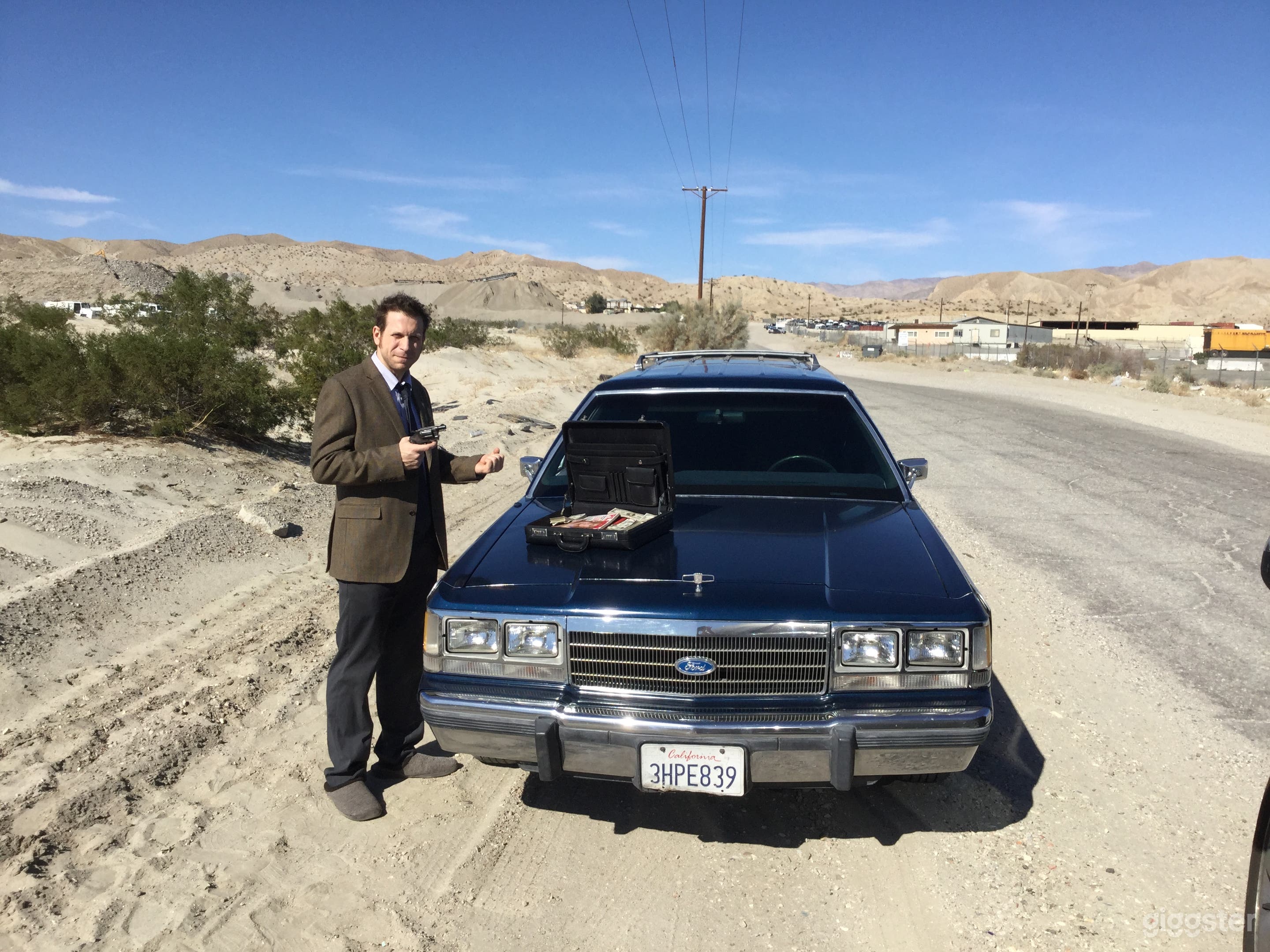 1991 Ford Crown Victoria Country Squire LX 8 seat Photo 3
