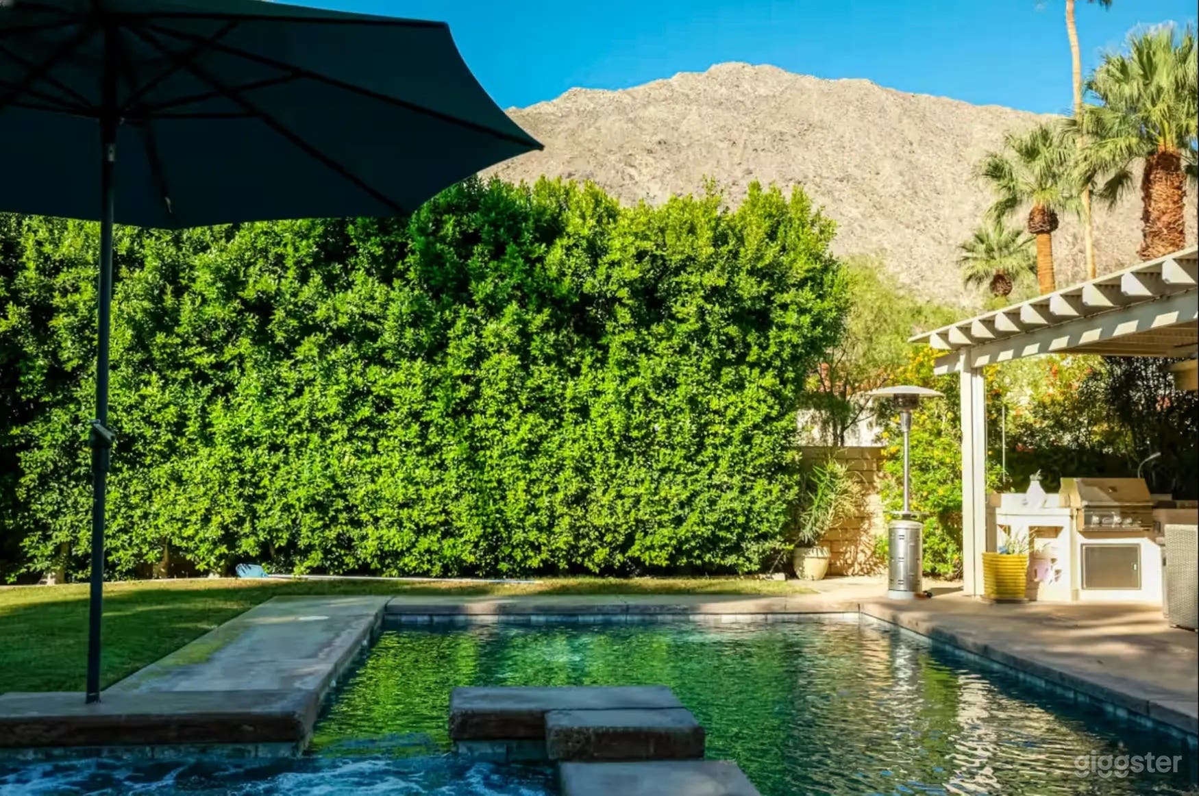 Elegant & Natural Pool Photo 4