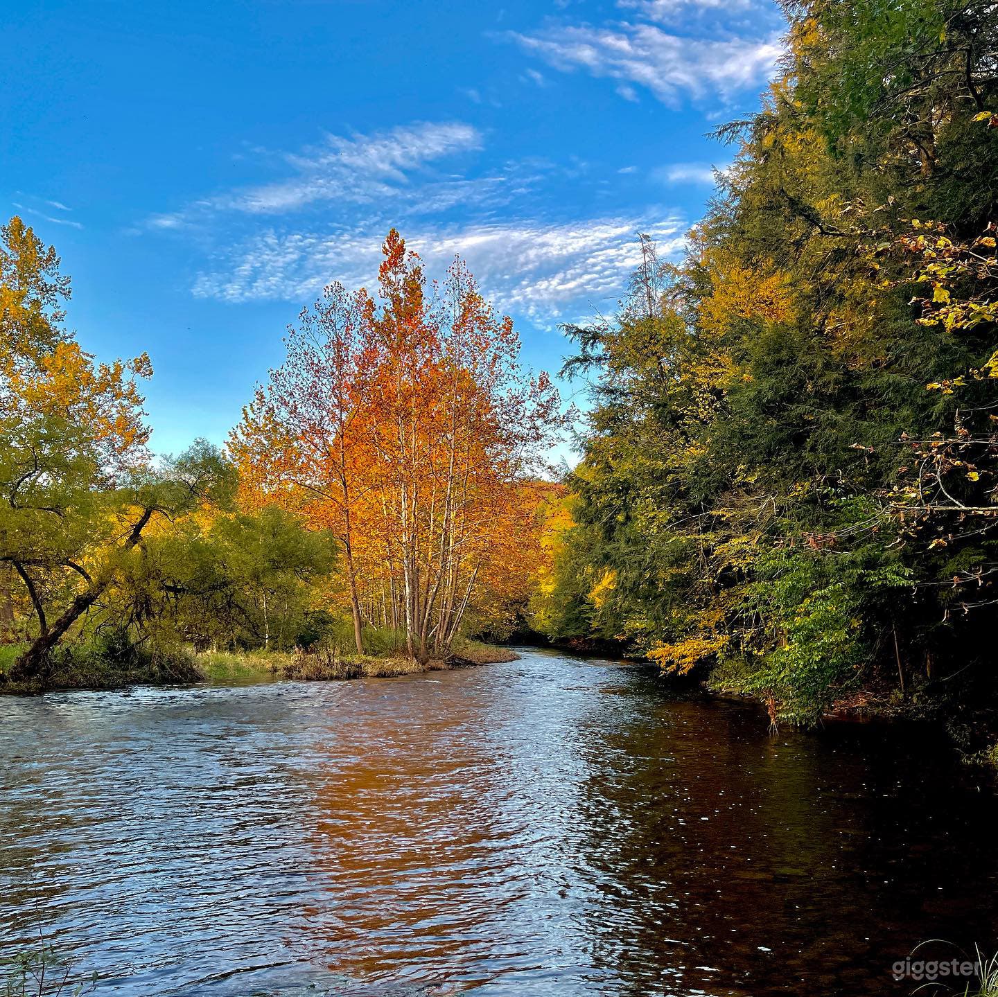 The Creek running behind the house and throughout the property