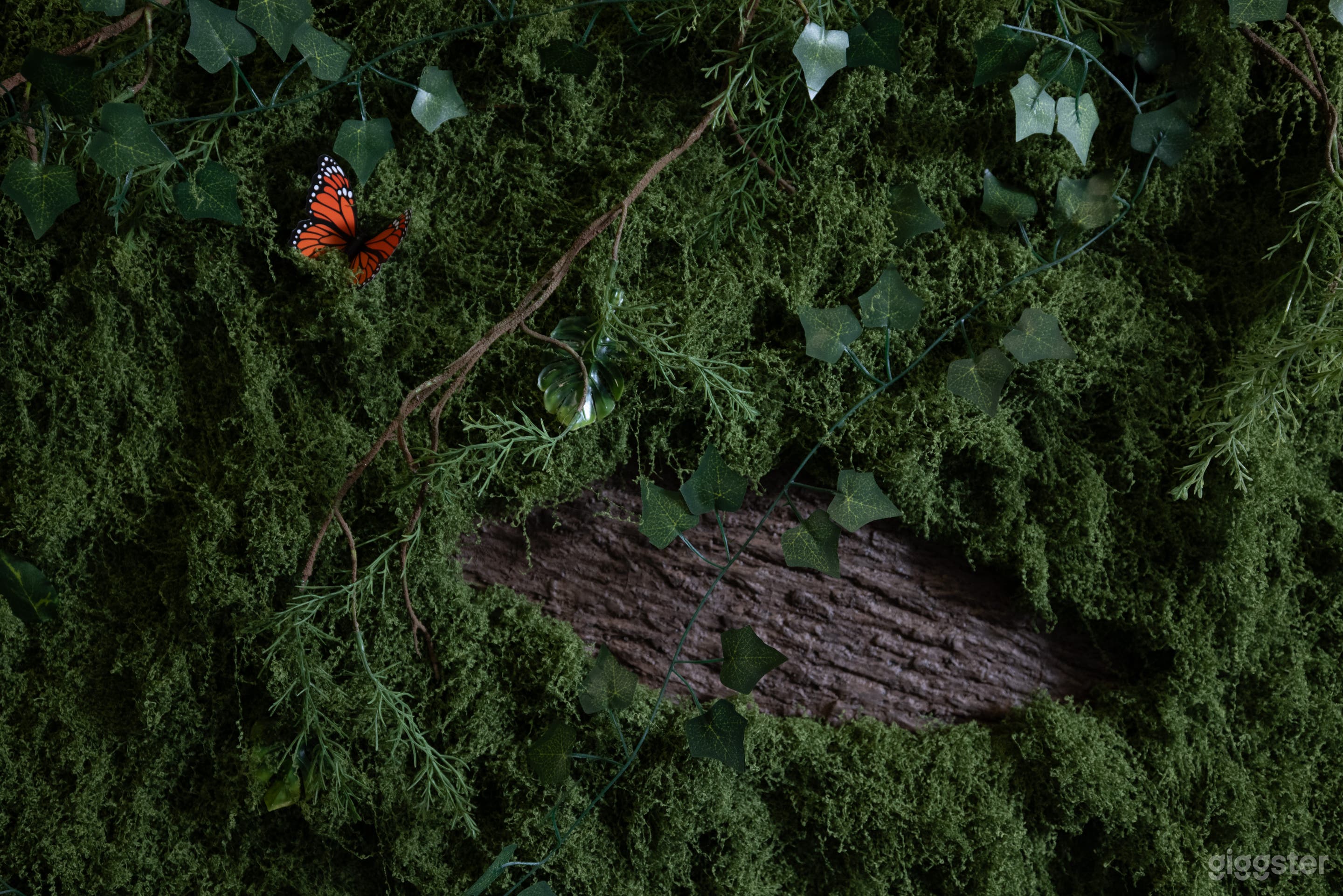 New Cozy Photo Studio located in the heart of Pasadena Photo 4