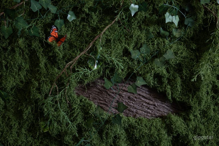  New Cozy Photo Studio located in the heart of Pasadena 