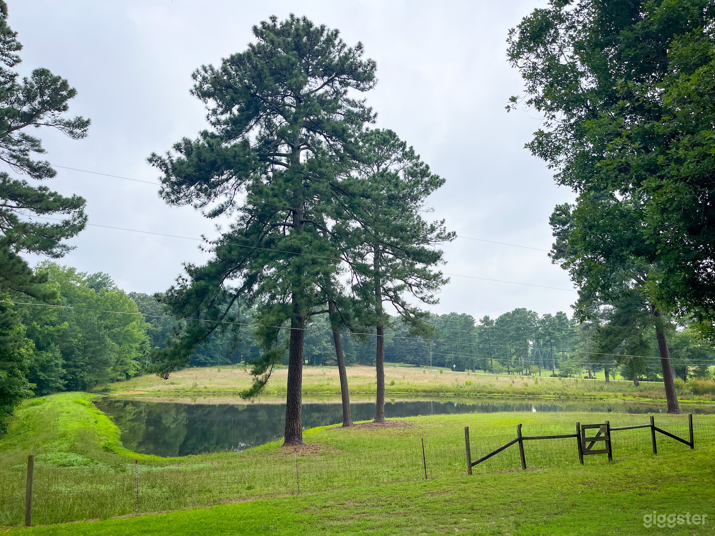Expansive 70s ranch home, lake and large pasture.  Photo 2