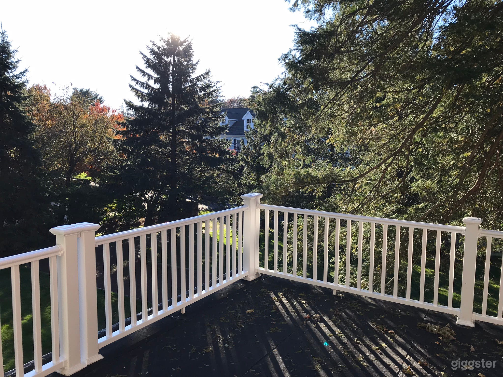 Luxury Georgian Colonial Scarsdale SmartHome Photo 4