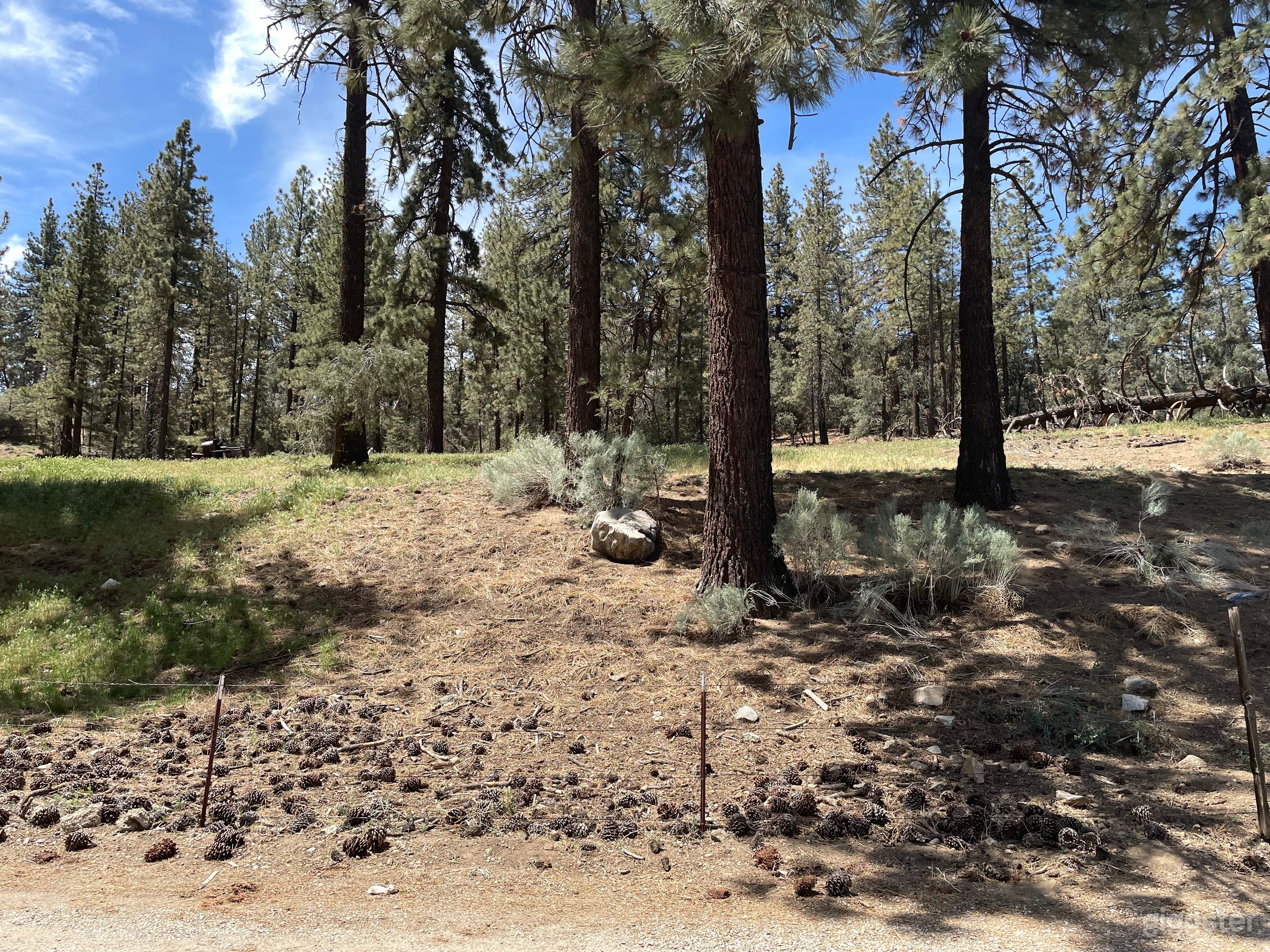 Valley Mountain View Expansive Grounds Farm  Photo 3